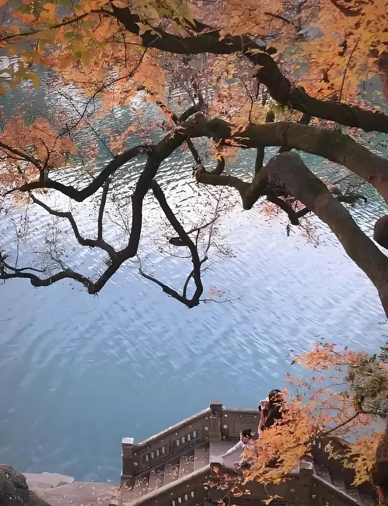 他们俩要是想回溪口，那么大致流程应该会是这样的！先是从慈湖起运，现场只允许家属进