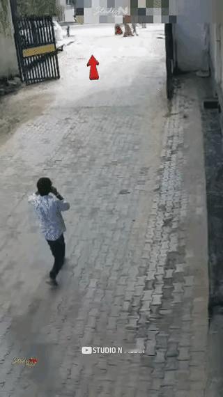 这哥们在关键时刻，没有等，没有靠，更没有惊慌失措，而是凭着自己敏捷的身手，成功躲