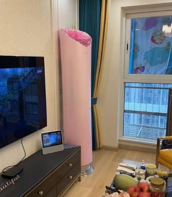 玫瑰空调卖了5万台 格力电器CMO朱磊：已经迭代到第三代近日，格力一款饱受全网审