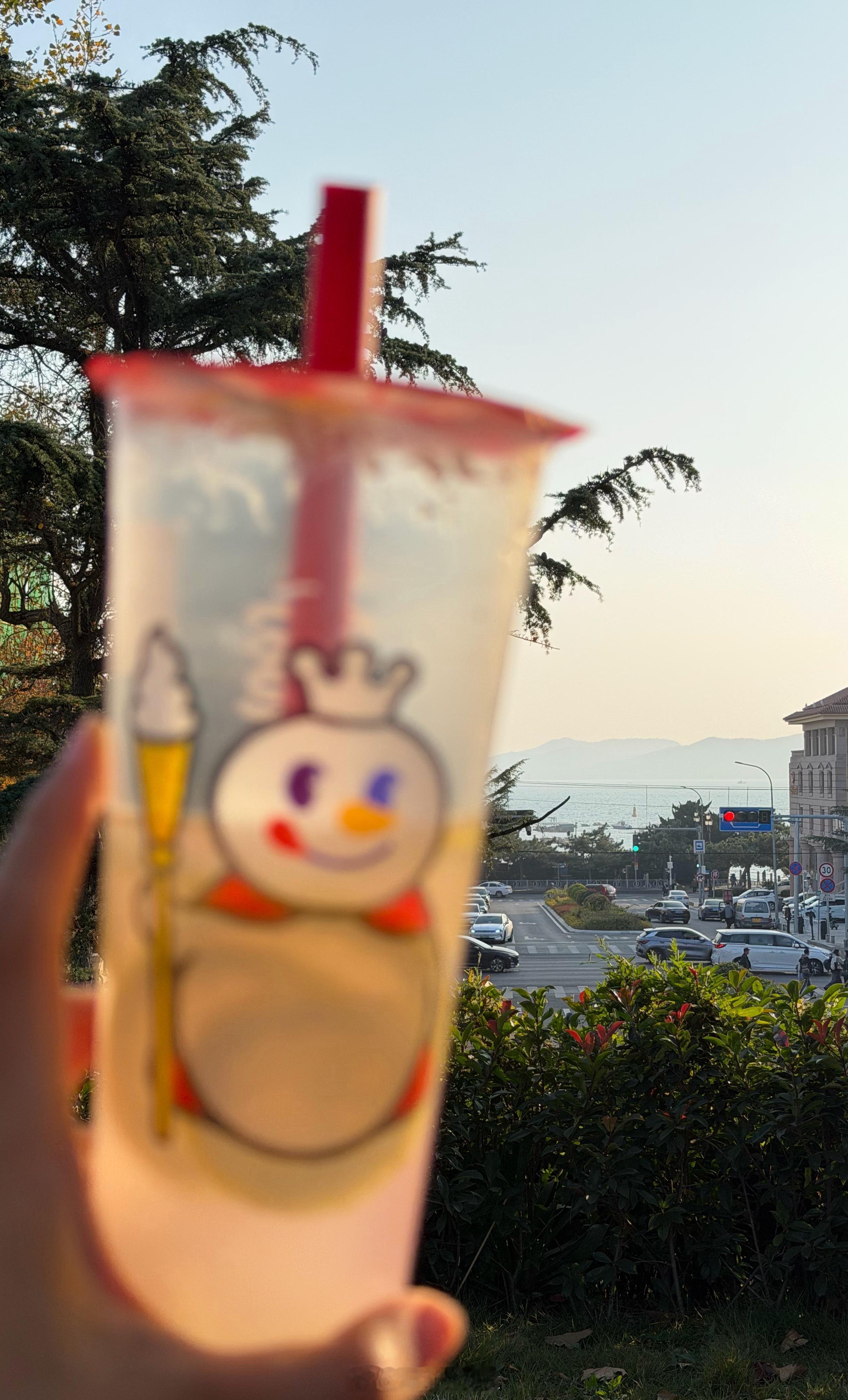 花了4个全款整了杯雪王柠檬水不是炫富日常罢了