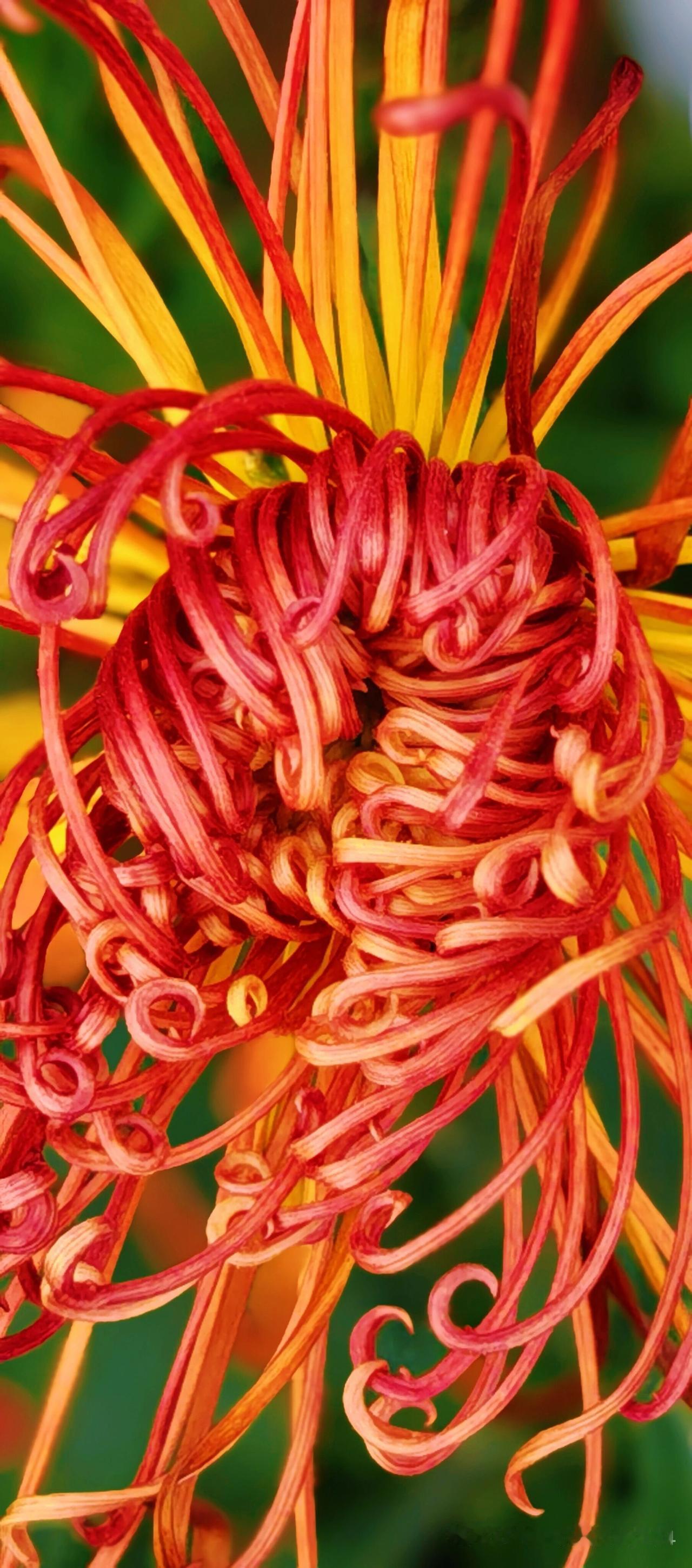 2025年已然走过，回首这一年，经济上似乎并未交出令人满意的答卷，没攒下多少钱，