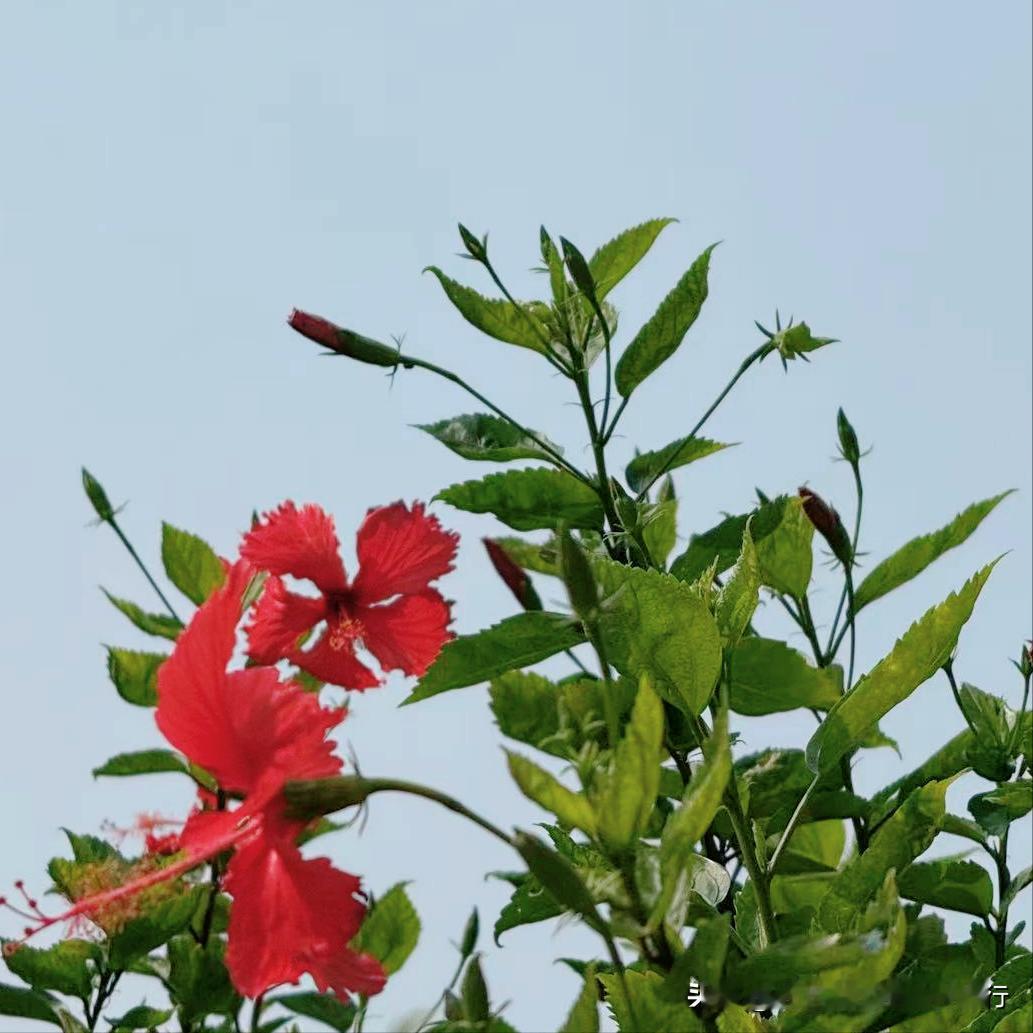 崇州市迎来新的主要负责同志
 
4月8日，今年51岁的工学博士缪晓波履新该市。