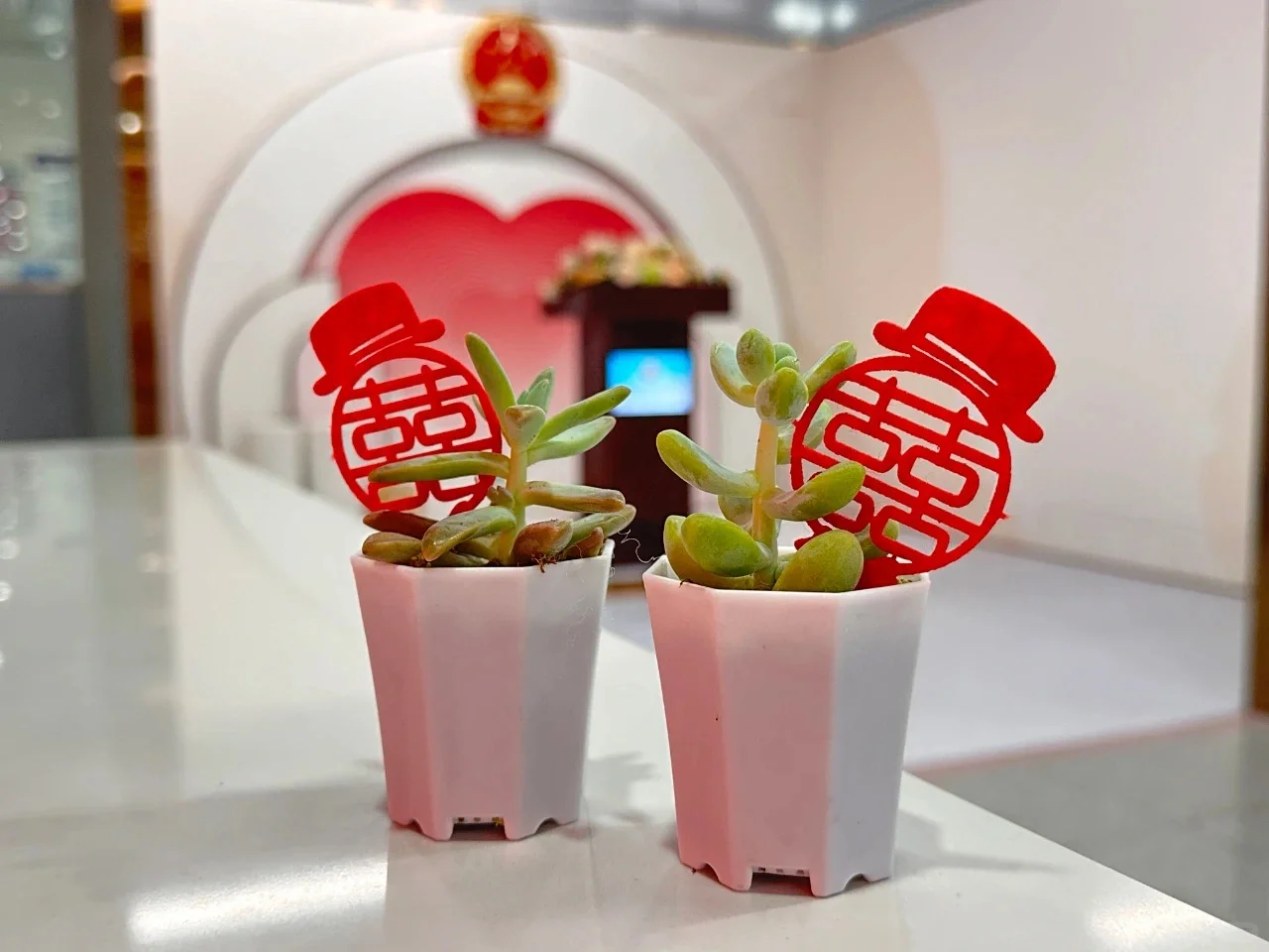 合肥太会了！520，来“幸福坝”领证有惊喜👍