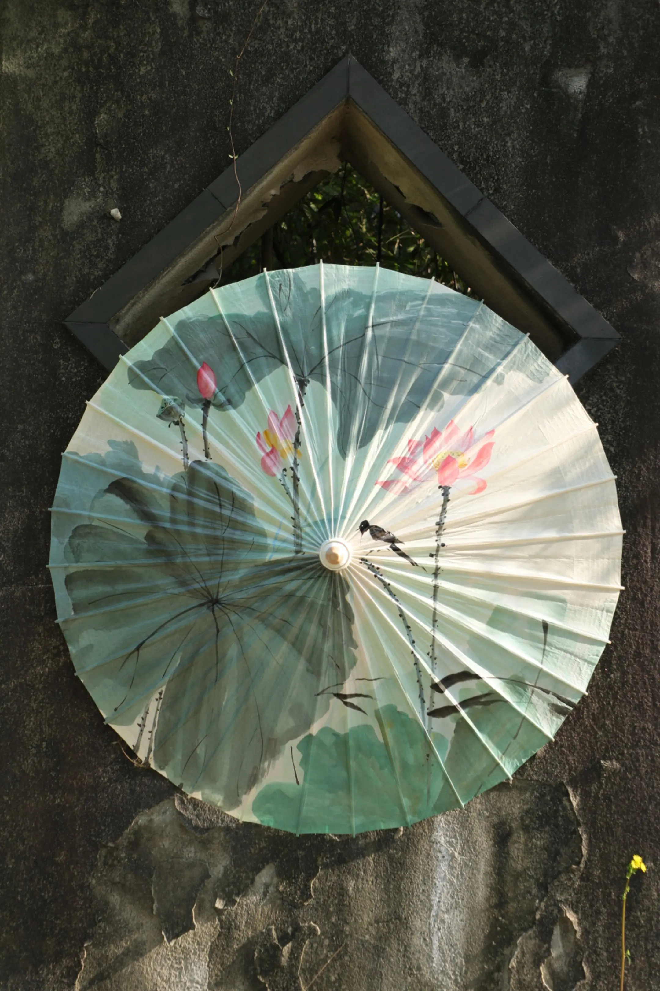 【繁花系列】荷花油纸伞。青瓦白墙下，一柄油纸伞撑起了半阙江南。荷香漫过...