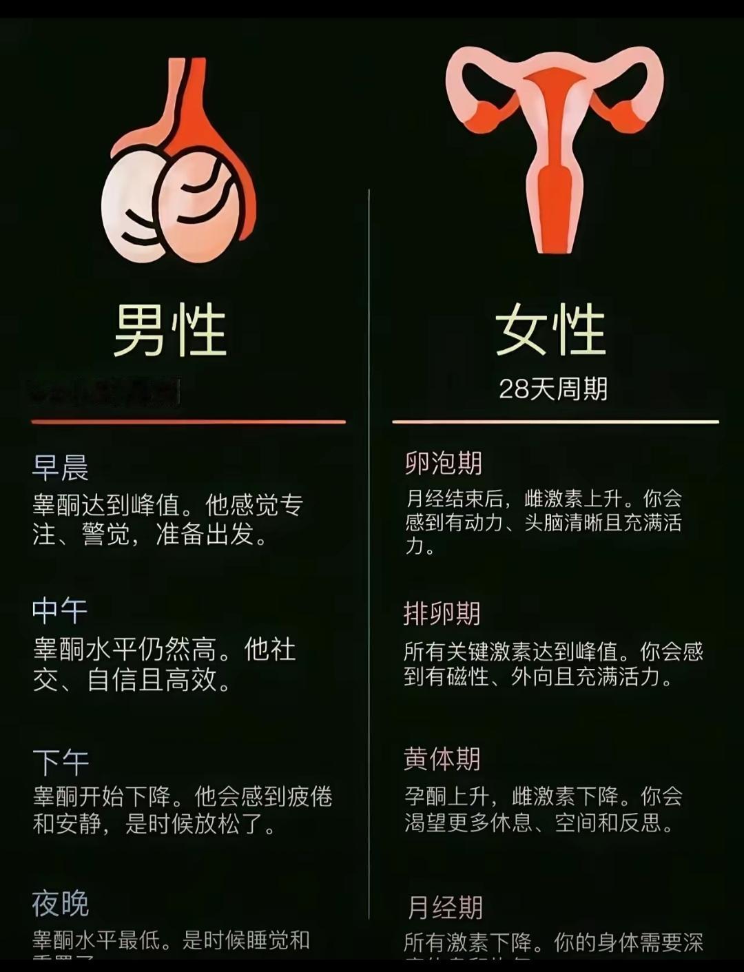 看完这张图~
男性早晨精力充沛
知道什么时候怀孩子最高效了吧