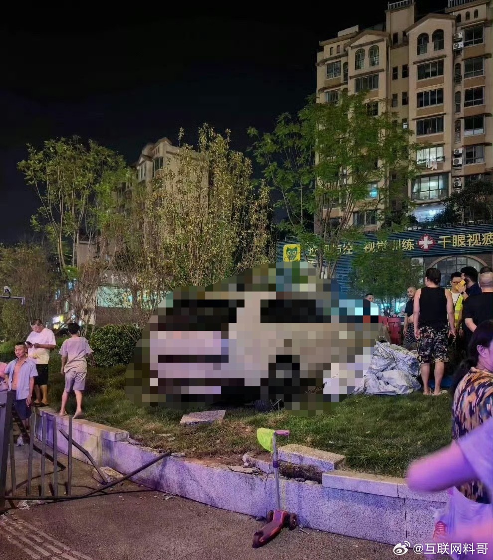 又有车冲上绿化带了！还好不是车的问题，是试驾车主的问题，请知悉，请放心！ ​​​