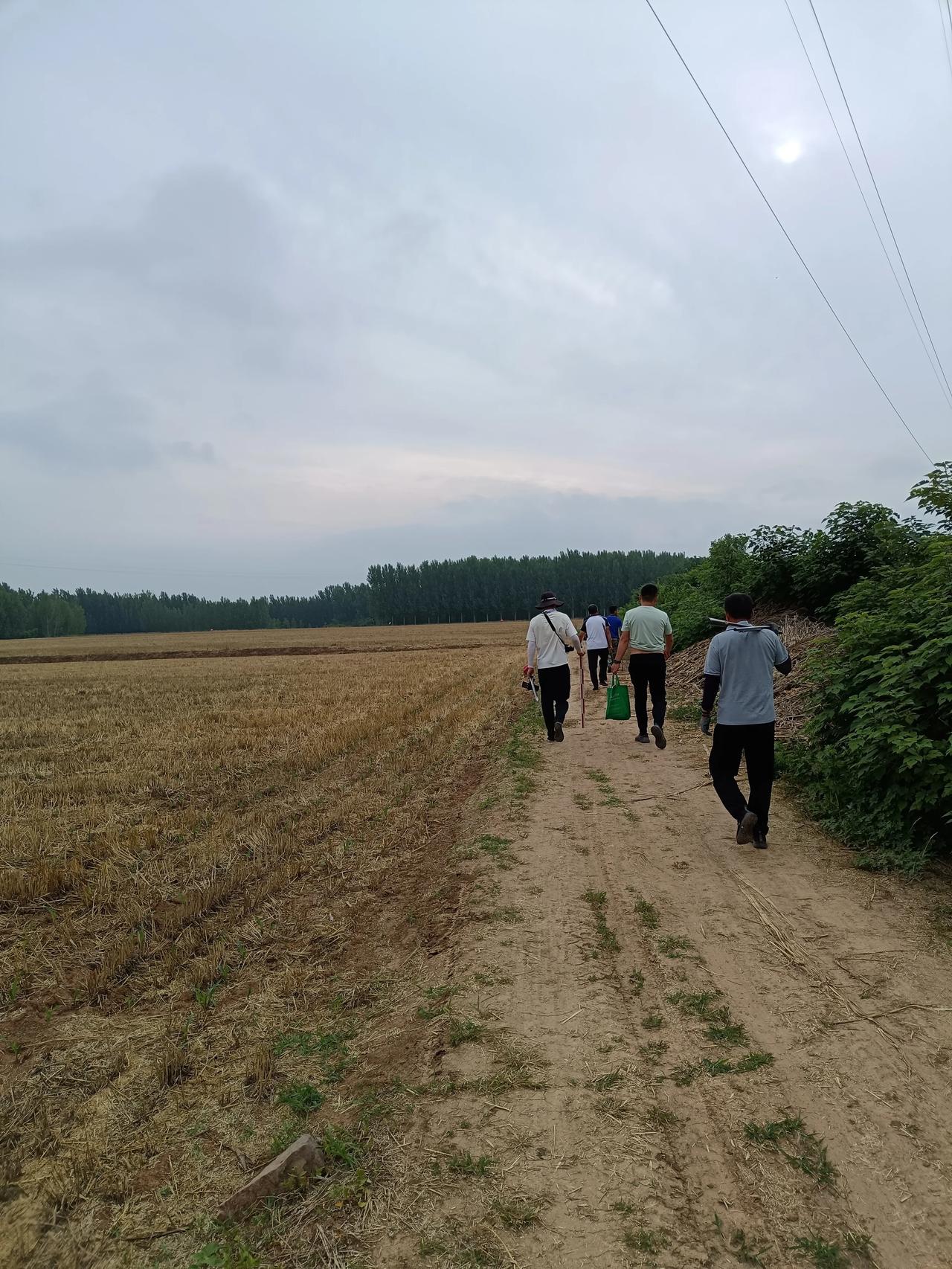 今日勘探从田地到村庄，中间见有刚发芽的玉米苗，有之前地质勘探留下的石头，有远郊的