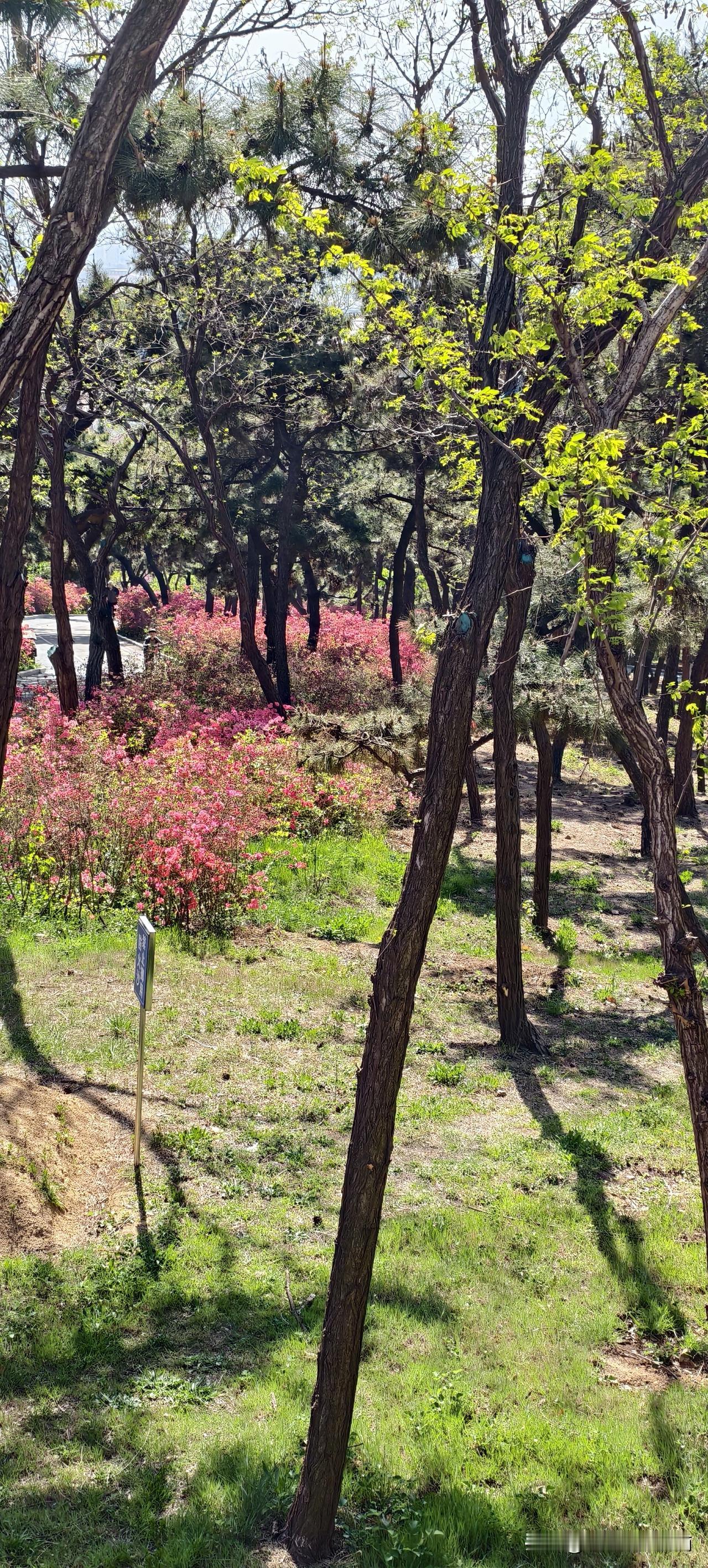 公司快倒闭时，喊口号的人都走了，那个不说话的人留到了最后


今天面试一个候选人