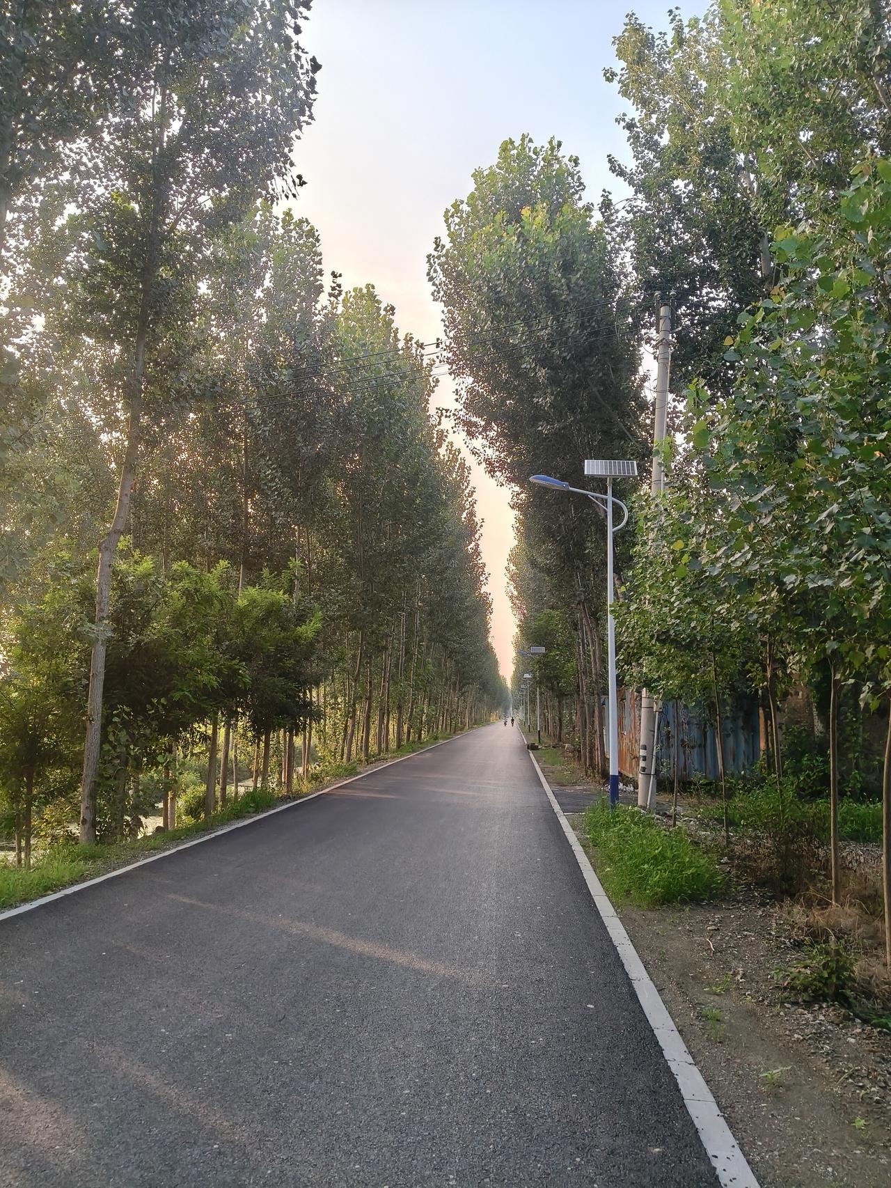 你们夏天最喜欢吃哪种蔬菜呢?夏天就应该多吃空心菜，冬瓜，西红柿🍅，黄瓜🥒，豆
