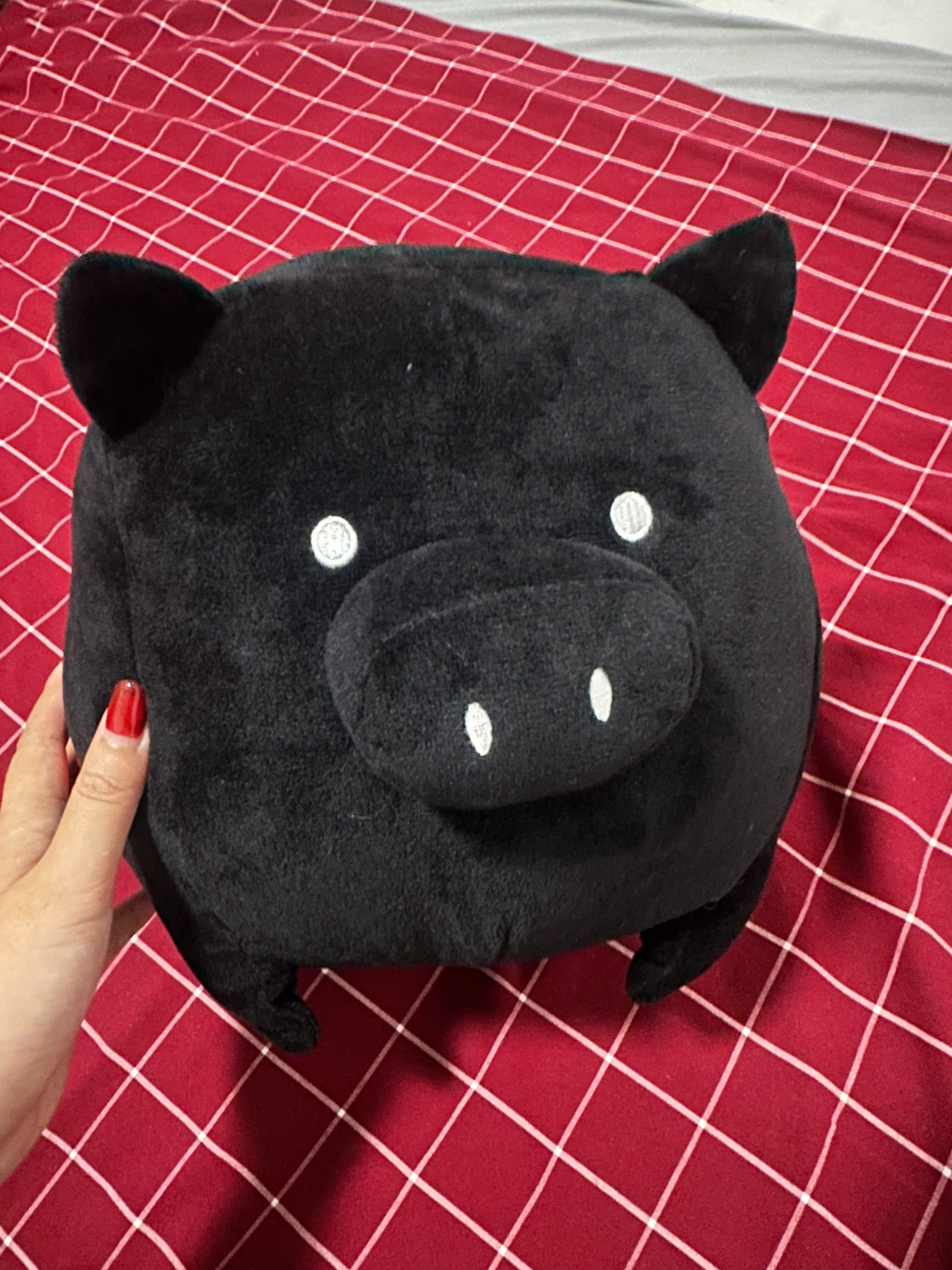 家属最近买了一头黑猪，很黑很黑的黑猪🐷，要去做法“报复”他一个男同事。[dog