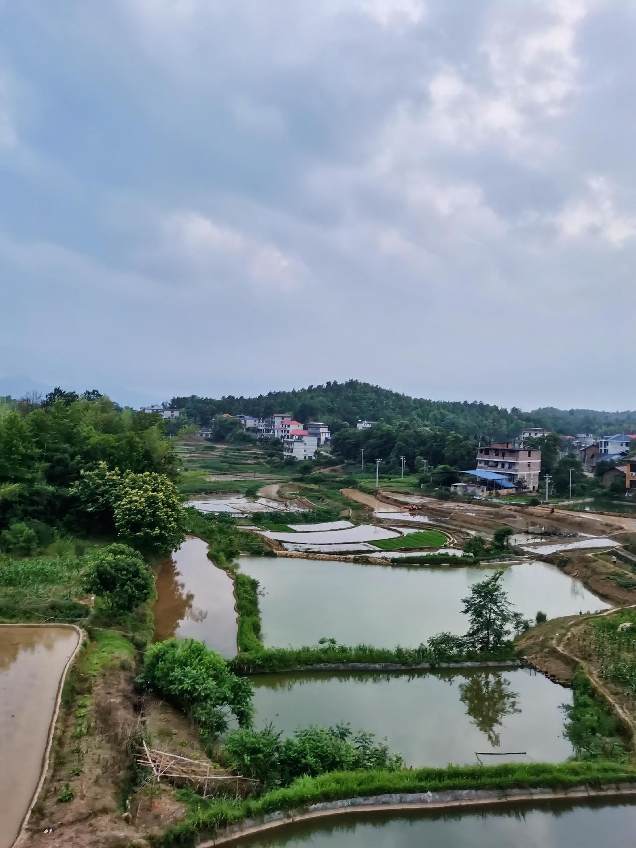 初夏美景不过是青山绿水依旧，我只知道田间地头，中稻快要插秧了，各种豆子要下种了，