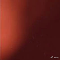 每日一善 💚罗一舟z纪元银河左岸音乐节 如果你不相信努力和时光，那么成果就会是
