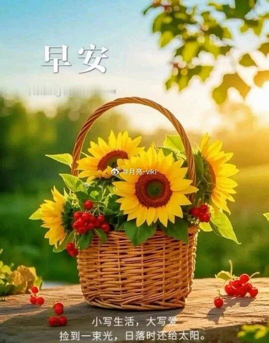 生活明朗，万物可爱，早安。岑先生[超话] ​​​