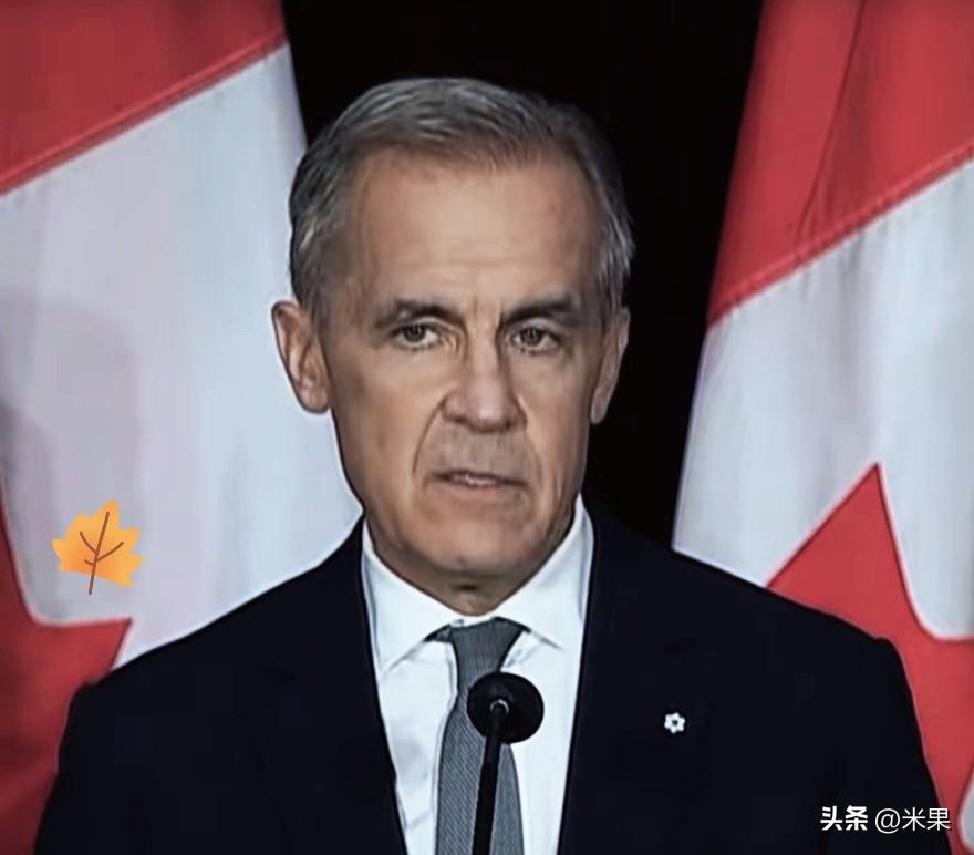 加拿大刚宣布了！

2026年9月13日，根据央视新闻和加拿大总理办公室公告，加
