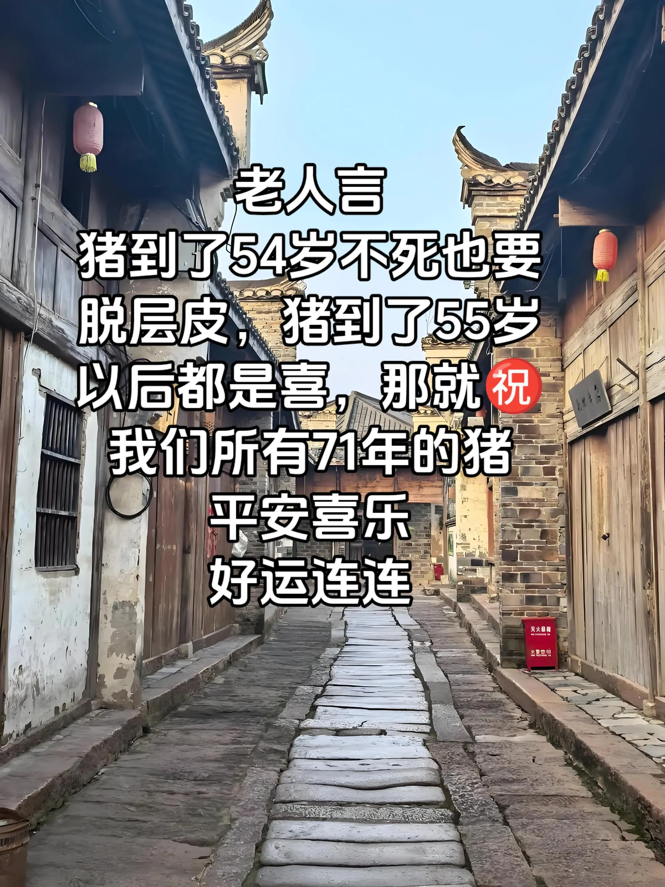 71年的猪 总有一首歌能触动你心灵 生活百般滋味你要笑着面对 感谢我要上热门