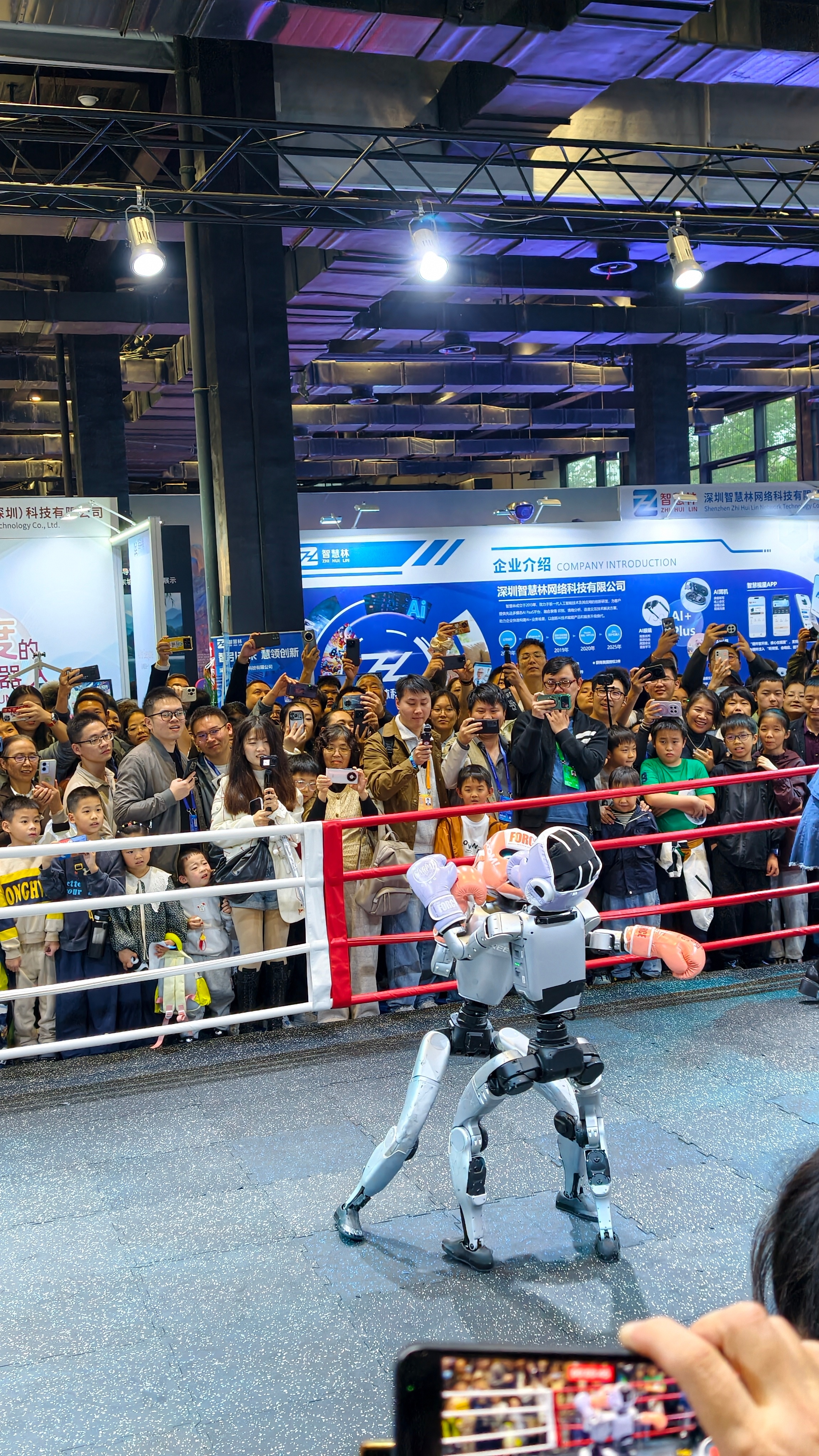 看个机器人打架。看机器人打个架。机器人世界互联网大会  ​​​