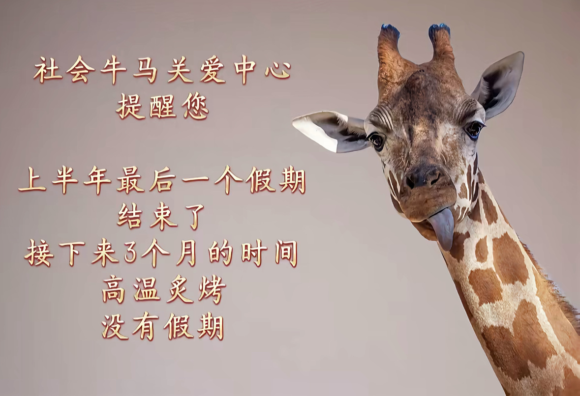上半年最后一个假期结束了接下来3个月的时间高温炙烤没有假期 
