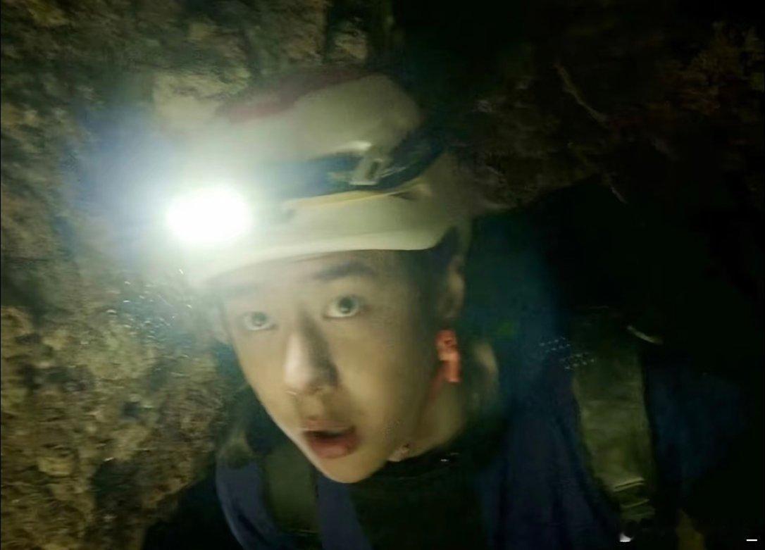 呆狗 