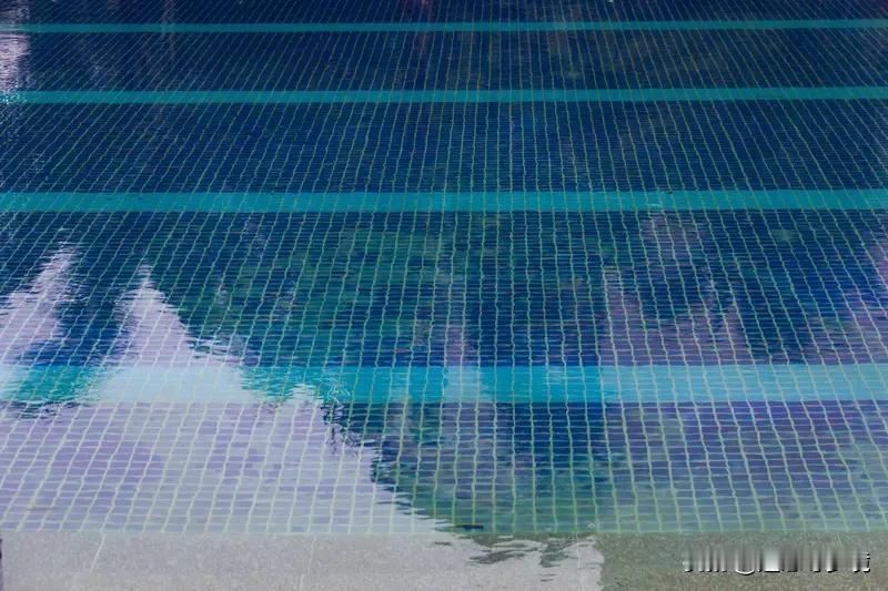 女子酒店房间拉开窗帘是泳池水底 最近“女子酒店房间拉开窗帘是泳池水底”的短视频火