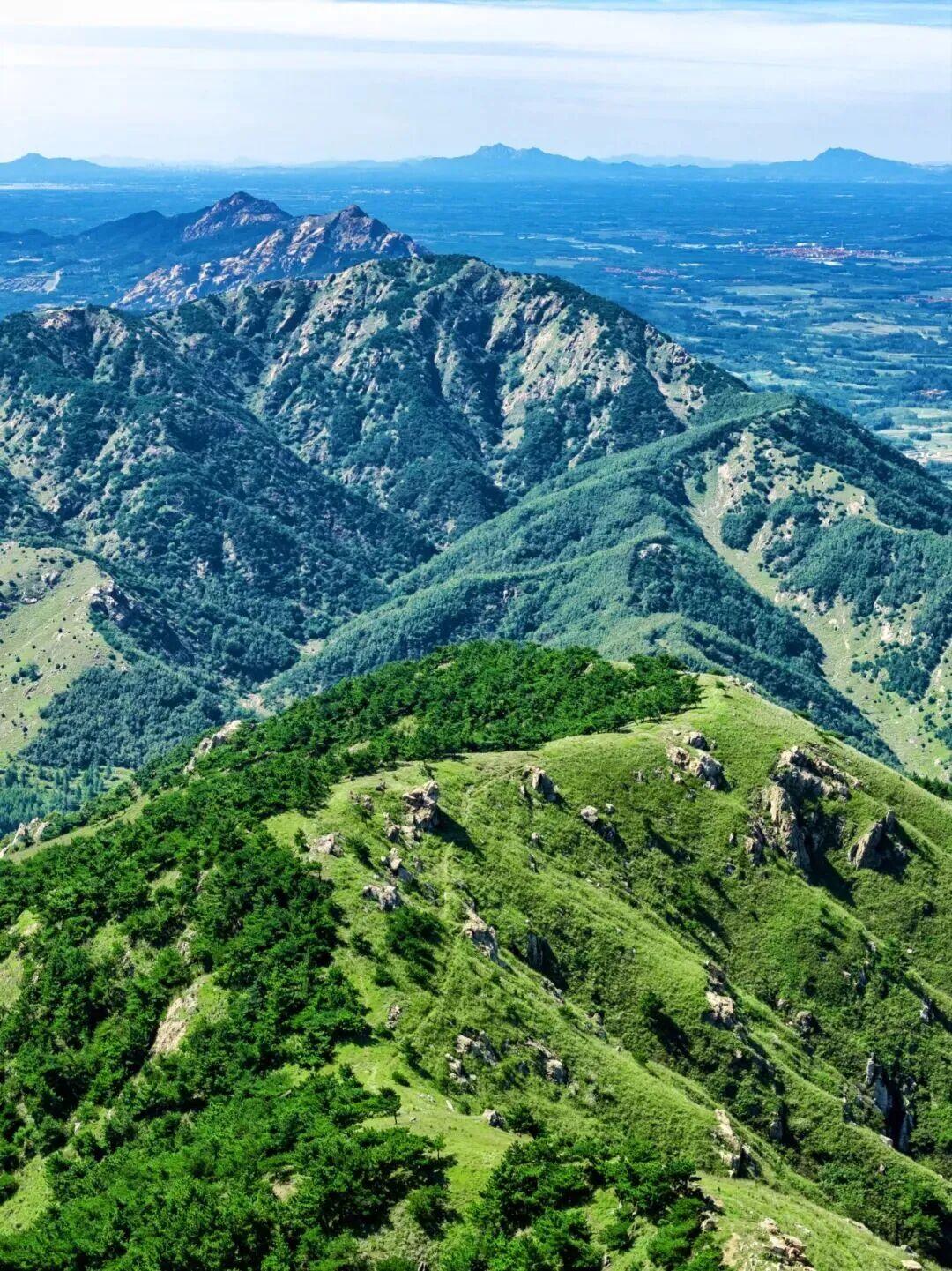 真心话茶局5月30日，2026青岛西海岸新区铁橛山开山仪式暨六汪镇首届“人宠和谐