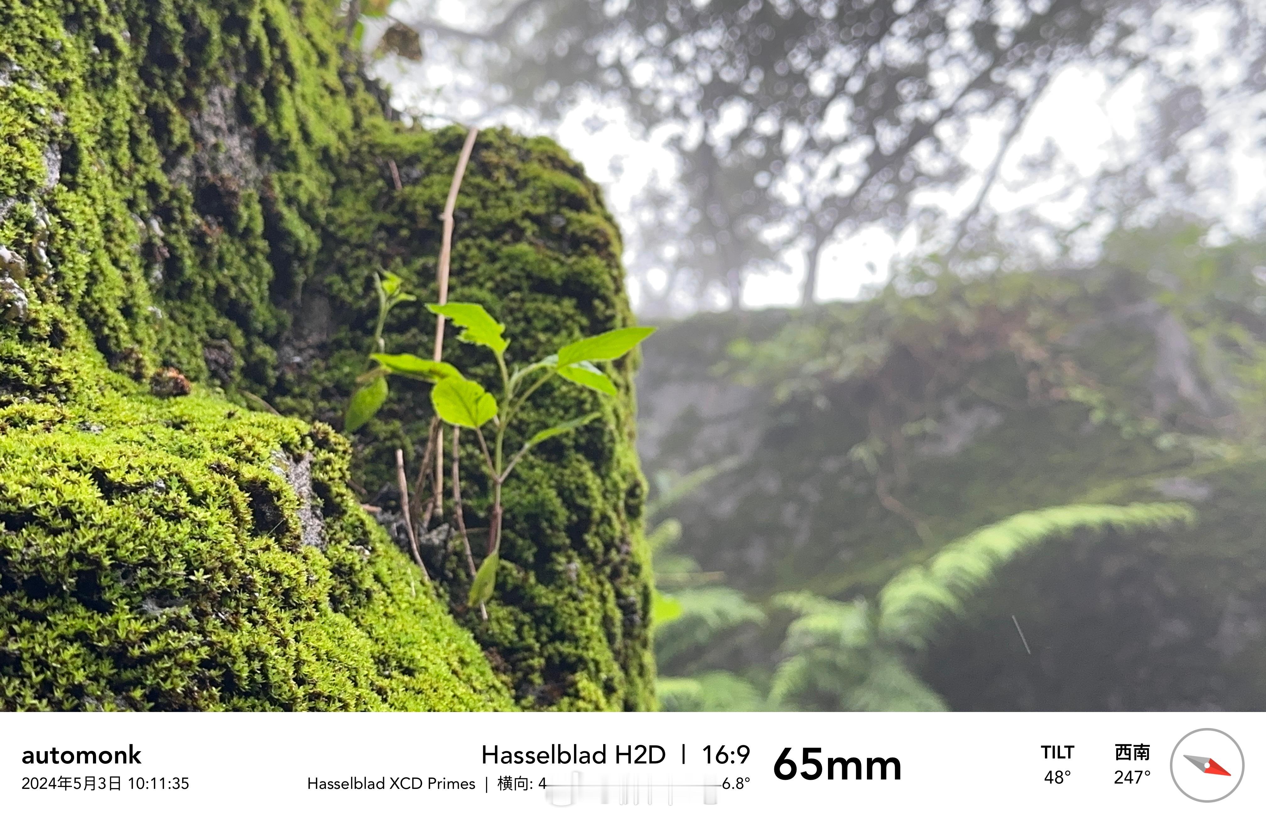 一路上遇到不少登山小团体，其中“45号天空”团体的旗帜口号是：山不来见我，我自去