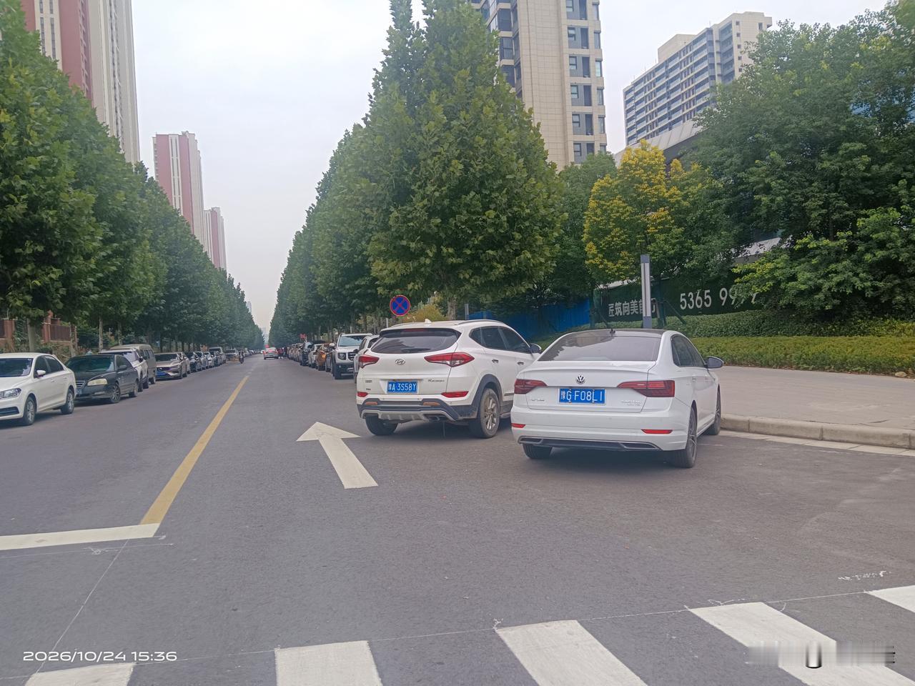 荥阳飞风路和菖蒲路这段路，私家车长期乱停占道。违停车辆挤占通行路面，正常通行的车