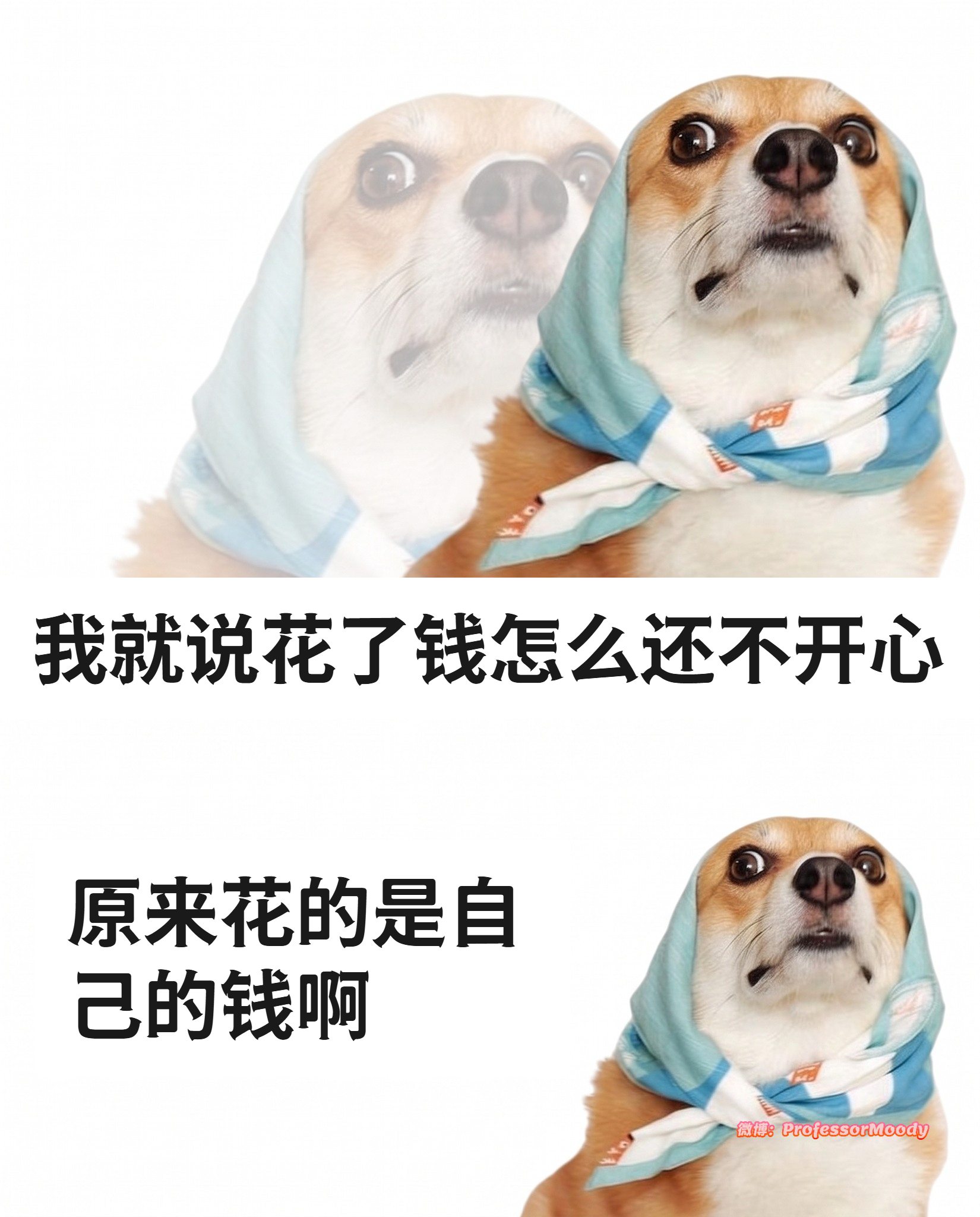 破案了meme ​​​