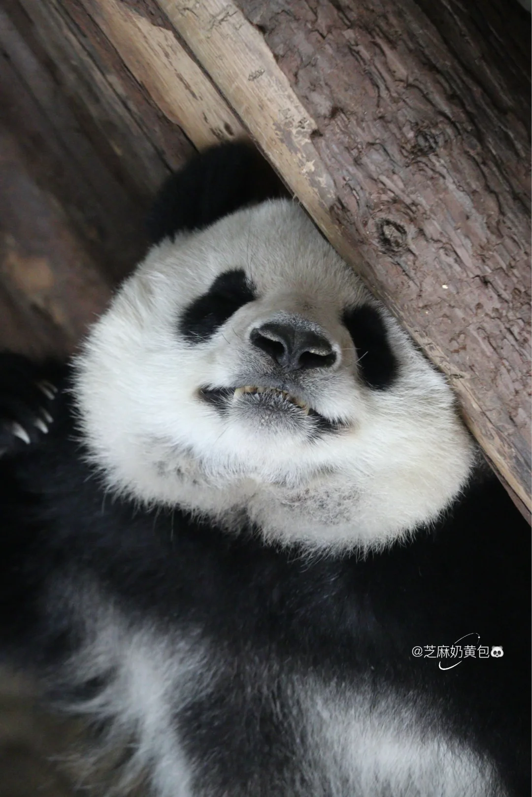 我的庆💕