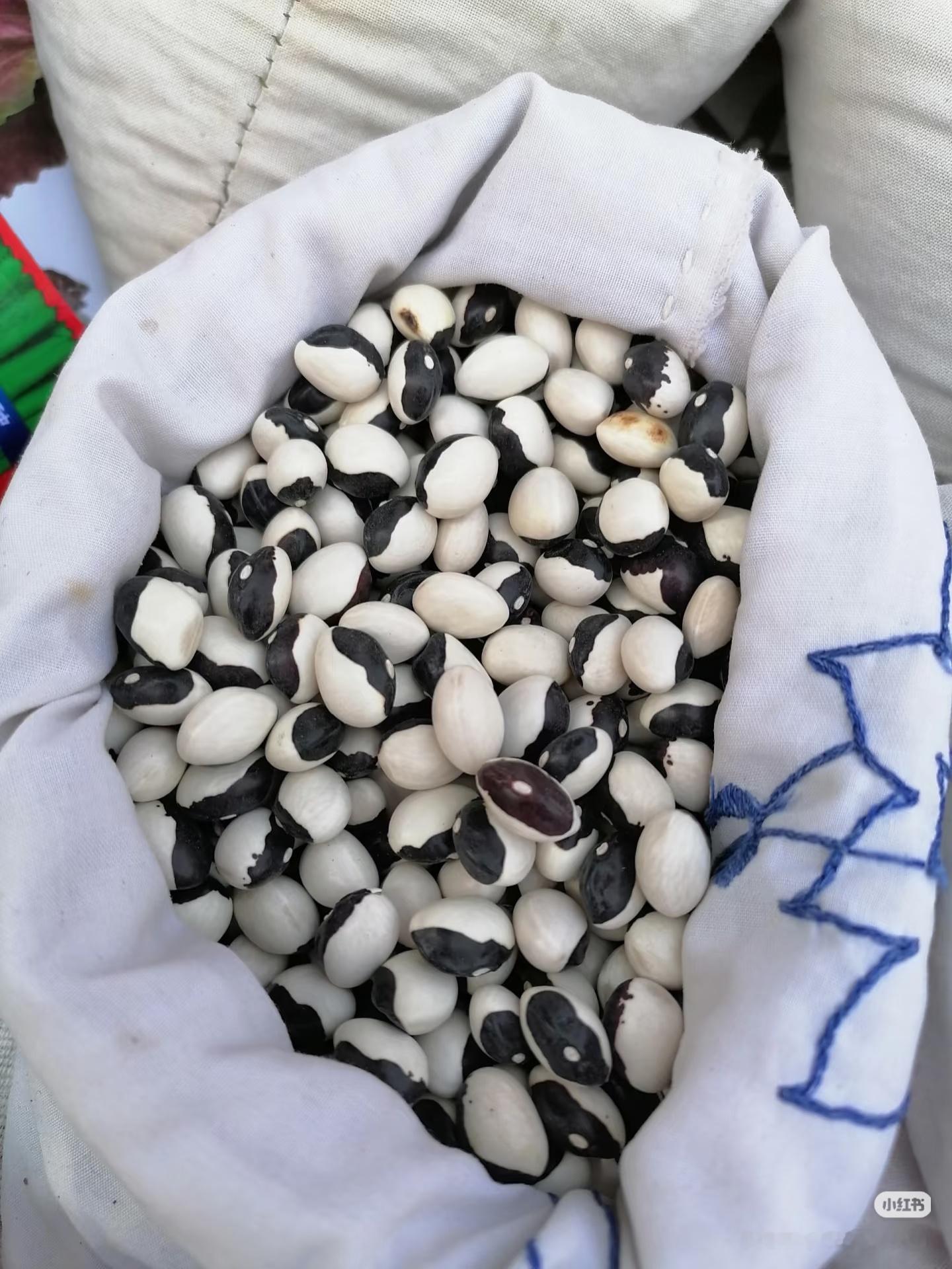 建议东北人不要随便给菜起名了 翻白眼是一种豆角，东北人统一叫芸豆，但是芸豆的品种