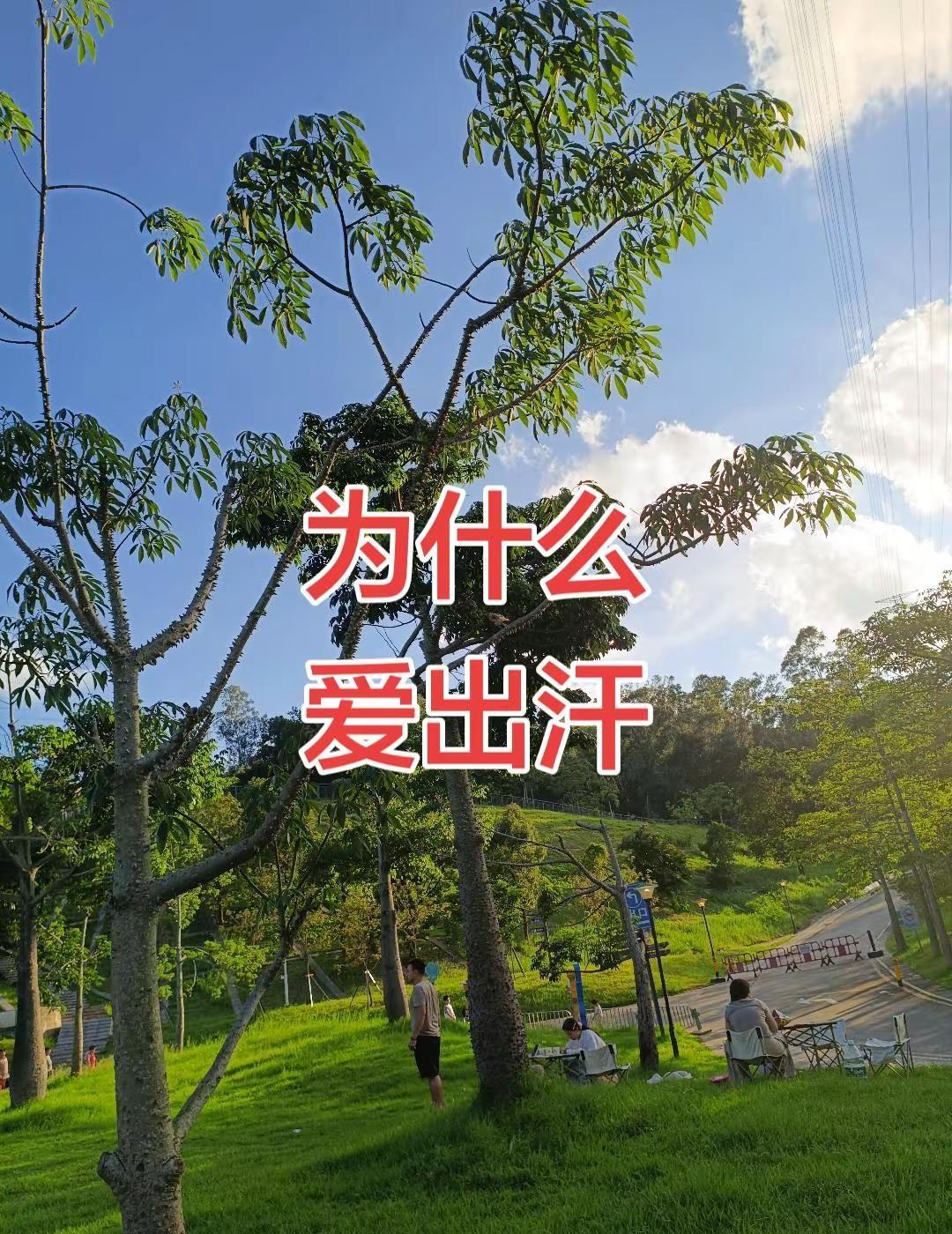 刷新时代纪录！吴宜泽凭借精彩绝杀击溃老牌名将墨菲，顺利拿下世锦赛冠军。零零后小将