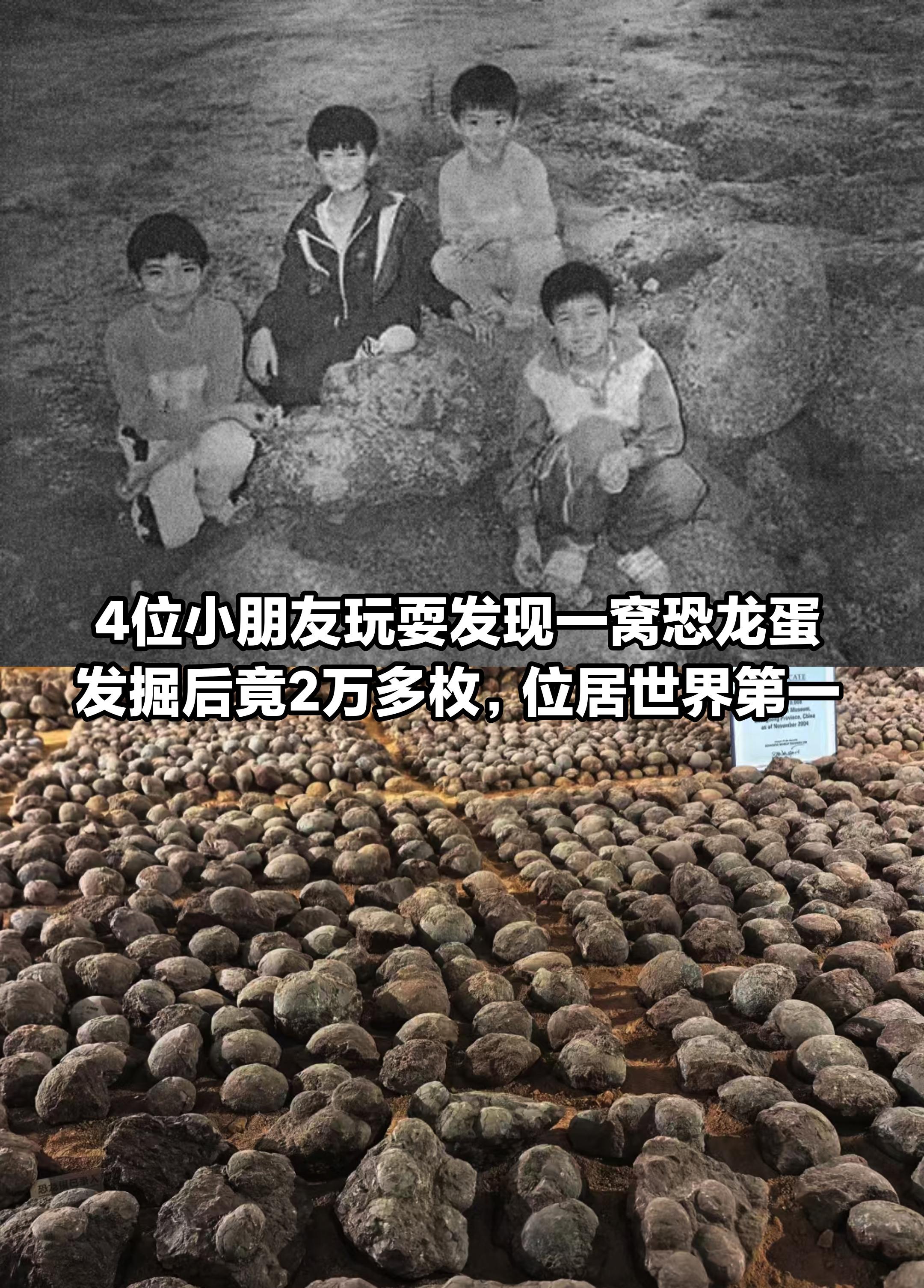 如此多的恐龙蛋，竟是4个小朋友玩耍时发现。