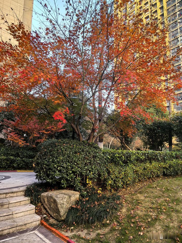 江苏南京的晚生活发生变化了。今天下班晚了一点，进小区就觉得和平时不一样，仔细观察