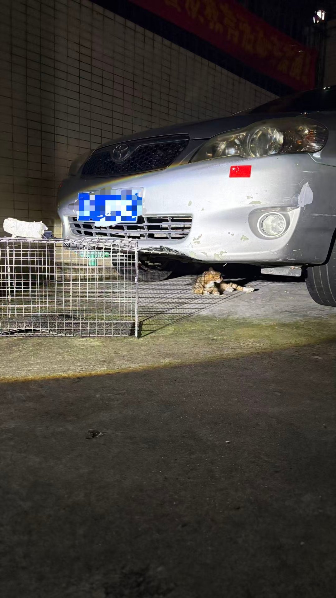 看到诱捕笼不屑一顾的小猫咪多的是，一整晚在车底都不出来，根本看不上我的小礼物（T