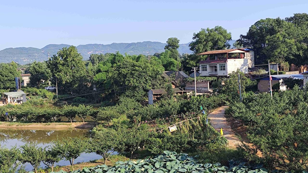 我的今日状态：😁轻松愉快
我这里的天气：☀️晴天