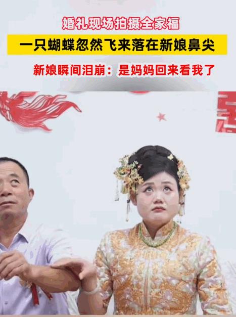 这一幕，连科学都解释不了！山东，婚礼当天，新娘出门前正和爸爸拍合照。突然，一只蝴