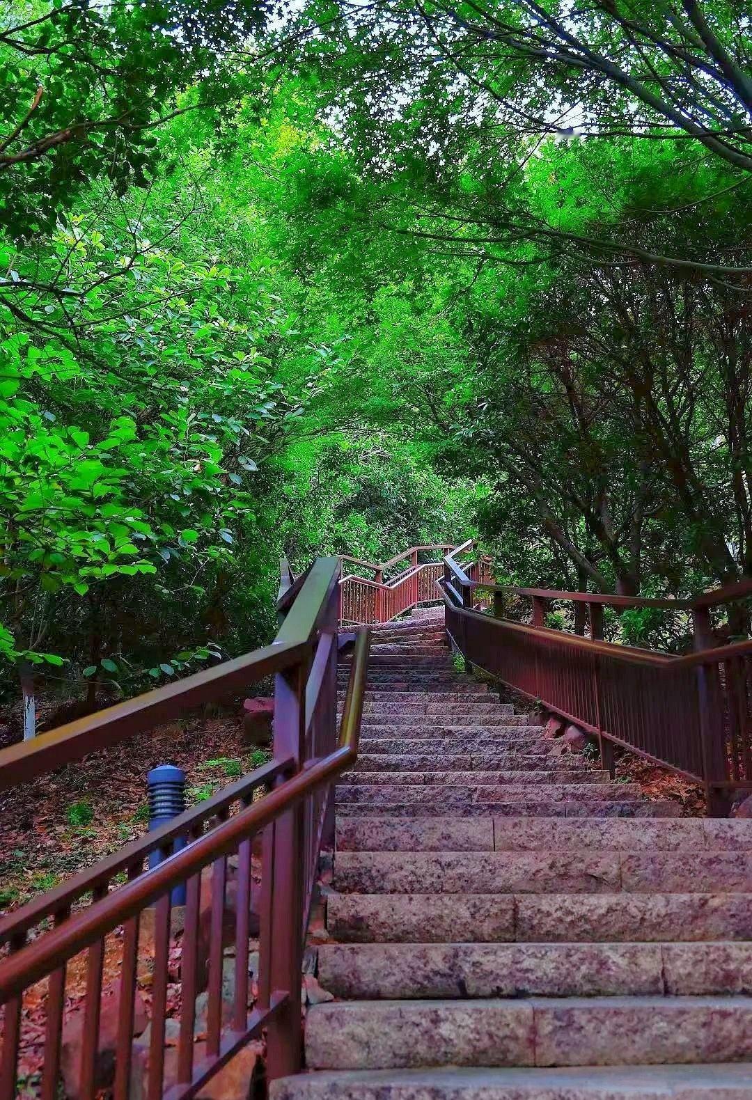 进入九月苏州的天气逐渐凉快，又到了适合赏秋之旅的季节啦！
👣推荐路线：五龙山郊