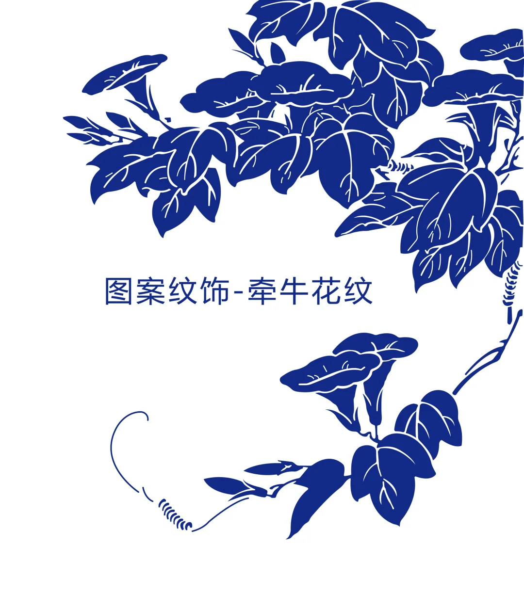 图案纹饰-牵牛花纹