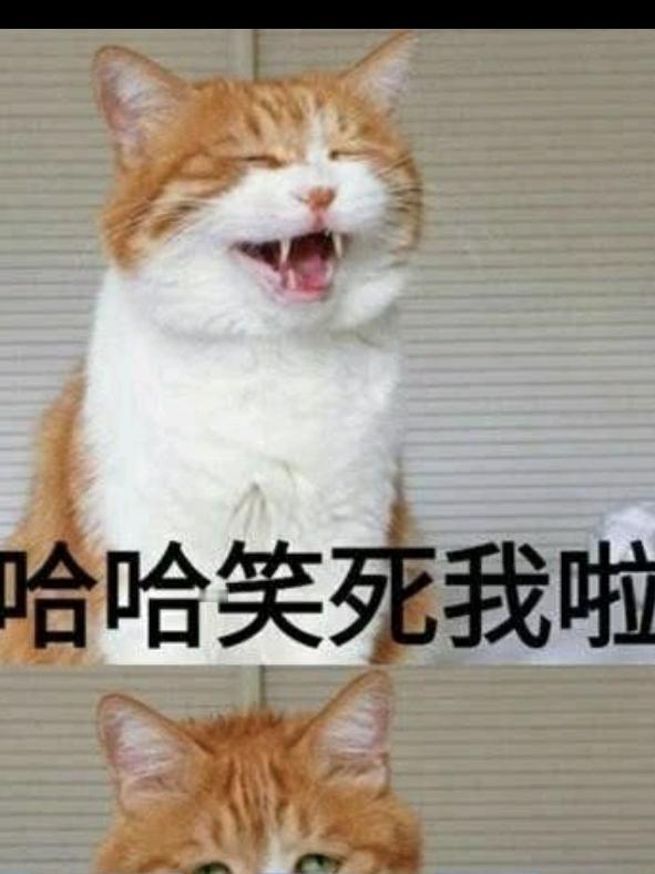 睡得正香，楼上“咣当”一声响，把我惊醒了！心里那个气啊，好不容易睡着了，这下别想
