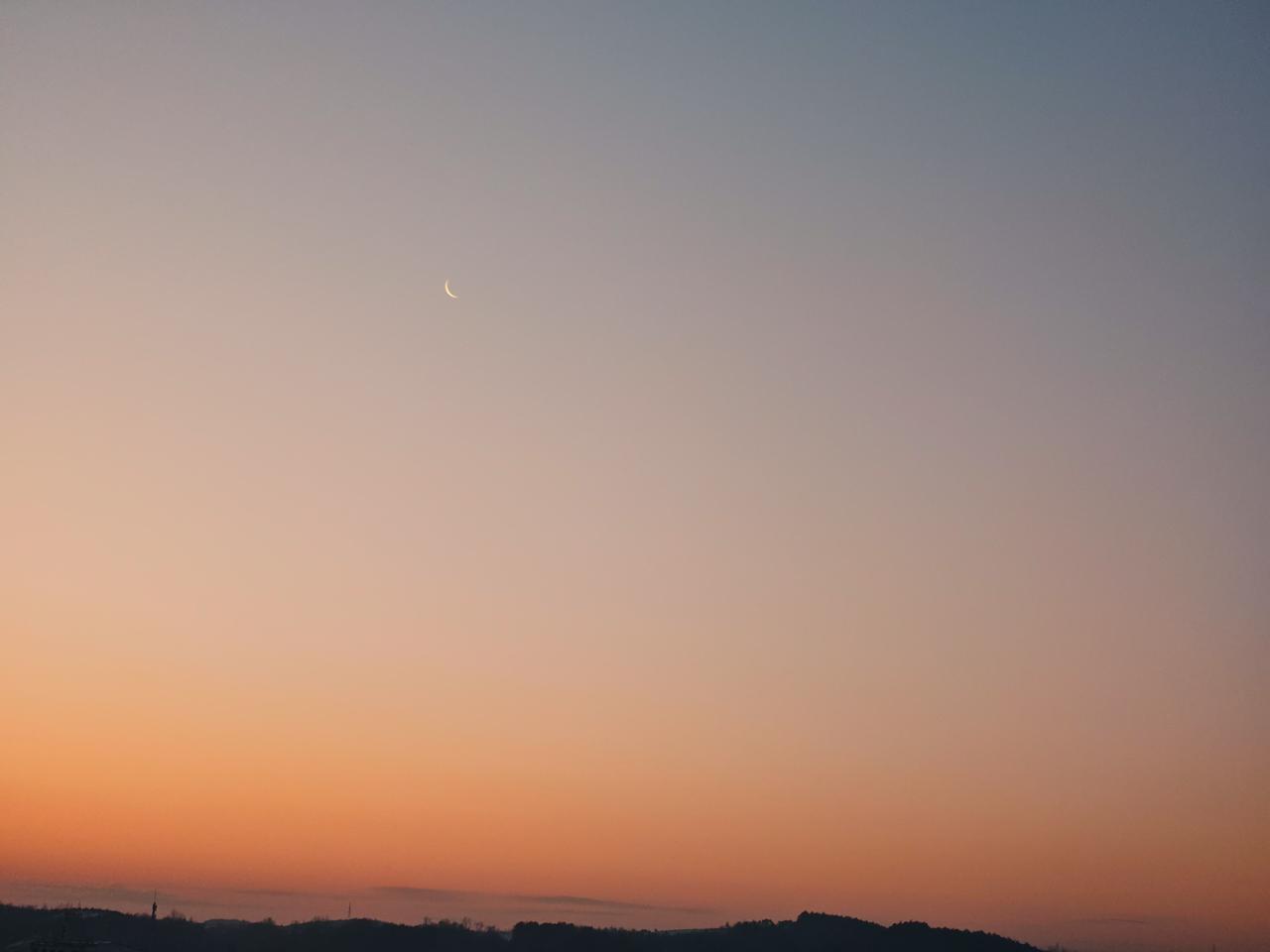 与痛风斗争的历程97
 
   早上起来，天是多云的。天气预报说今天有大雪，天气