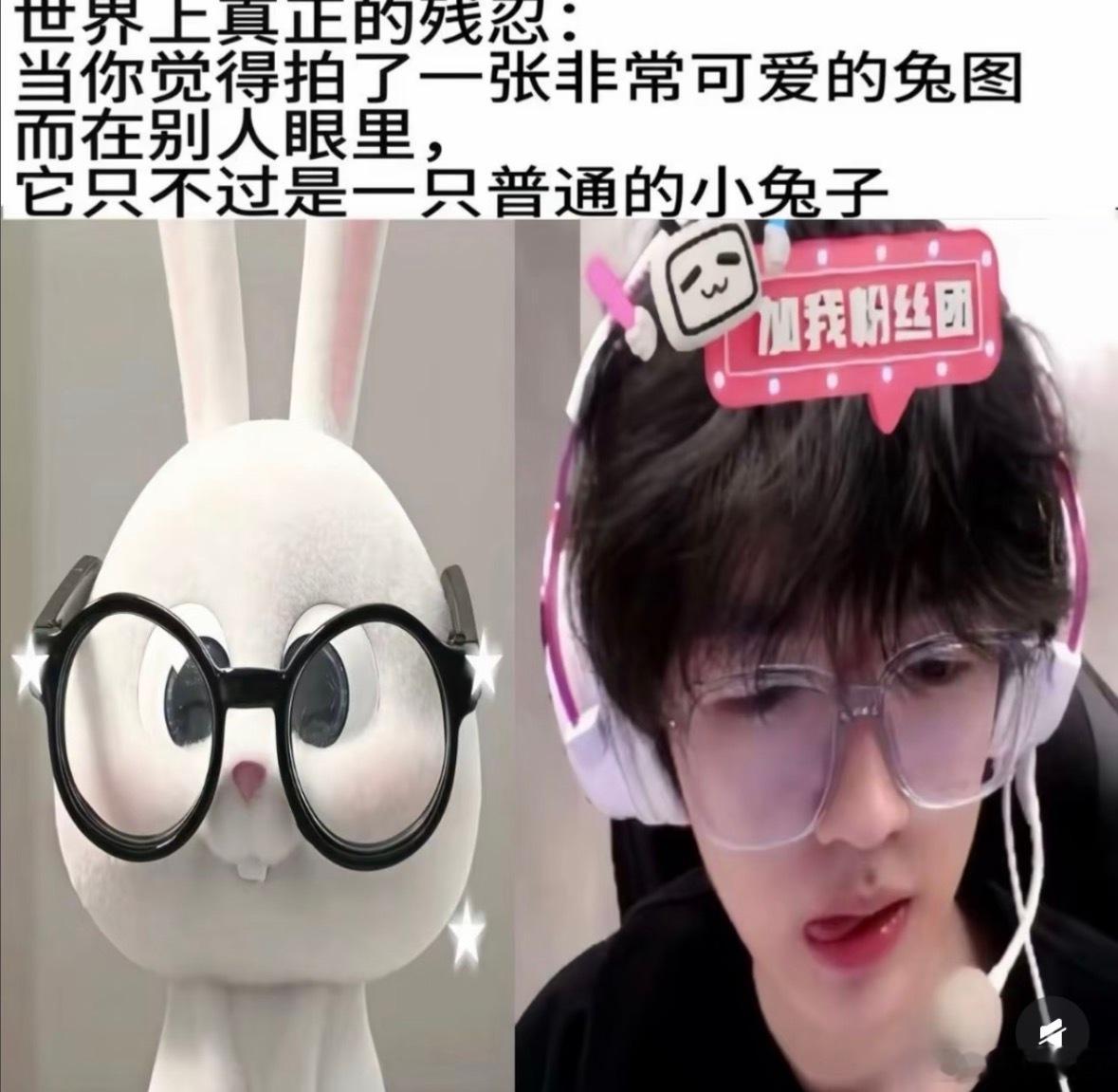 分享图片 ​​​