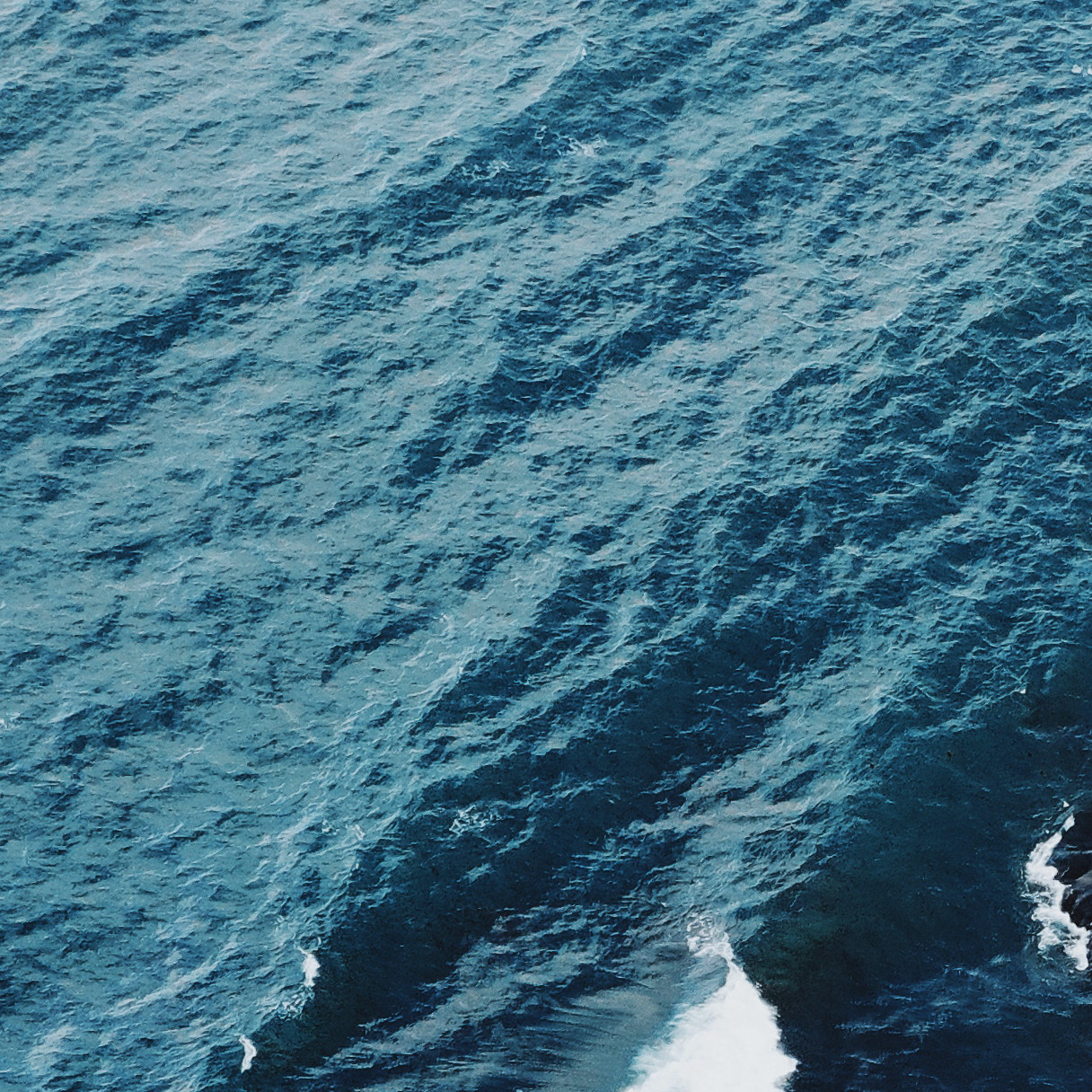 𝙒𝙚𝘾𝙝𝙖𝙩｜𝘀𝗵𝗮𝗿𝗲｜壁纸分享生活的智者，必能在一路上