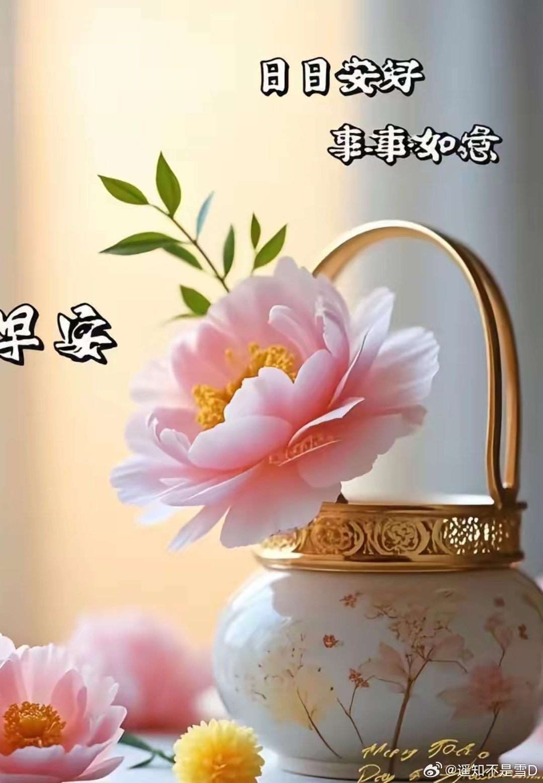 早安 💜💗每一个醒来的早晨，都是宇宙对你的温柔提醒：你值得被爱，被珍惜。愿你