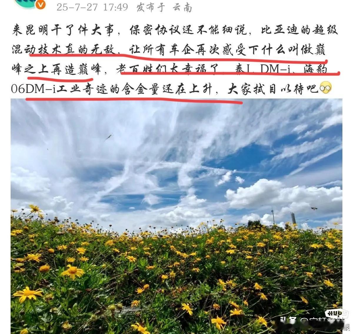 比亚迪：“兄弟们，准备接招了！”
友商：“加油，看好你！”
比亚迪：“话术变了？