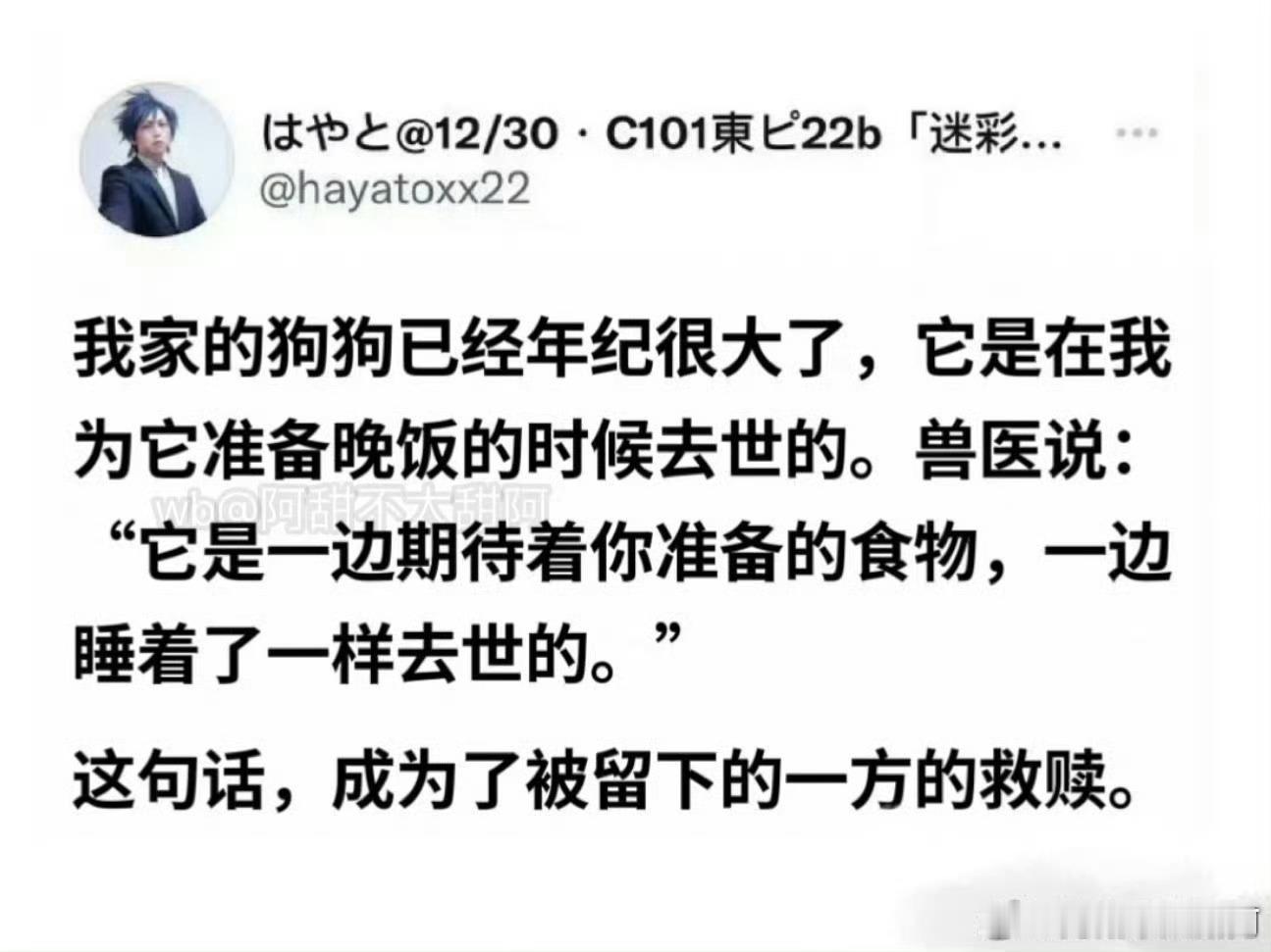 小狗在期待着的幸福中永远的睡去了情感热点创作激励计划 ​​​