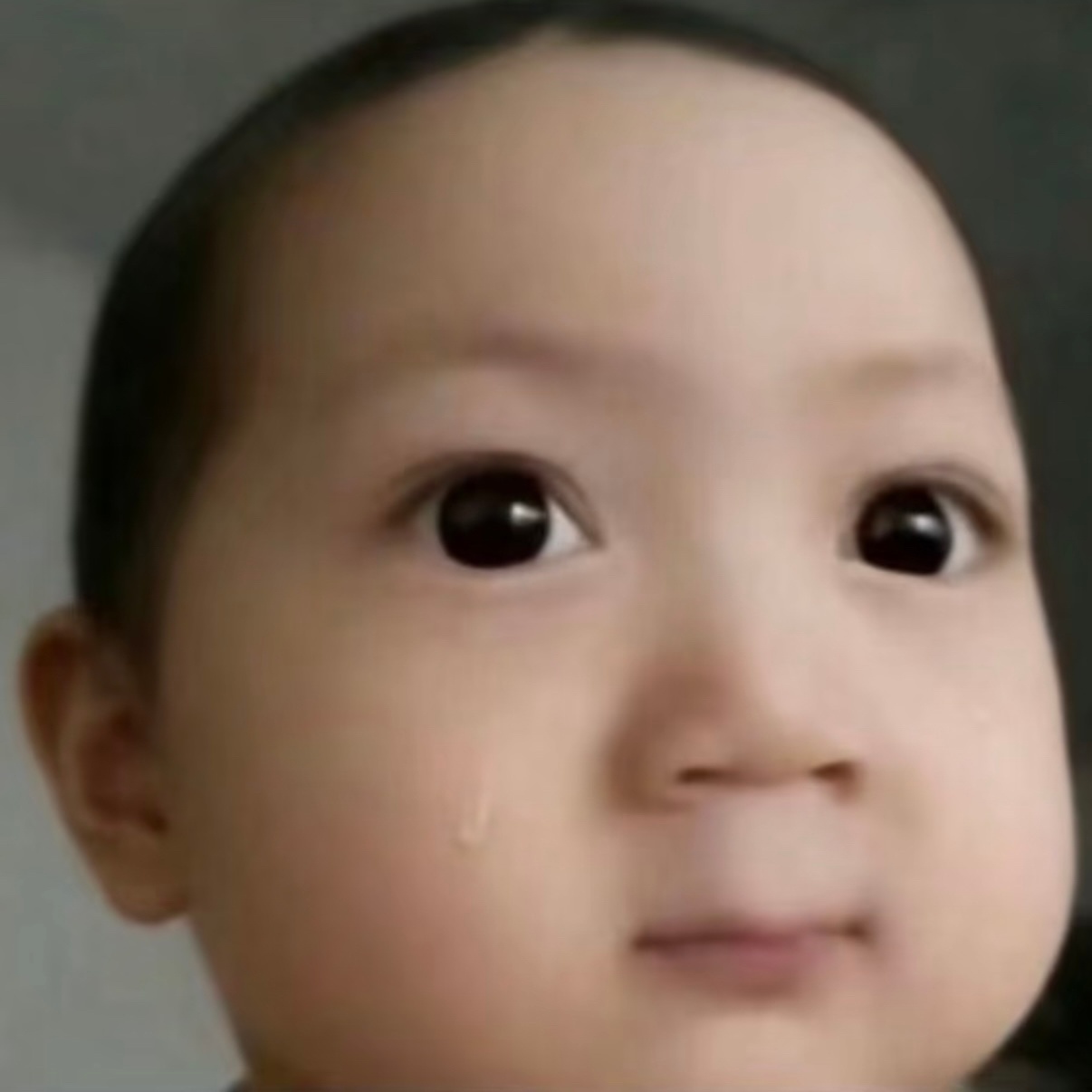 分享图片 