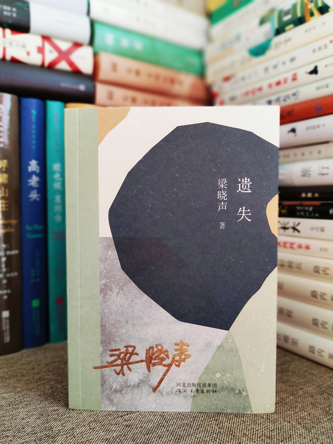 数度哽咽，我被梁晓声狠狠共情了！