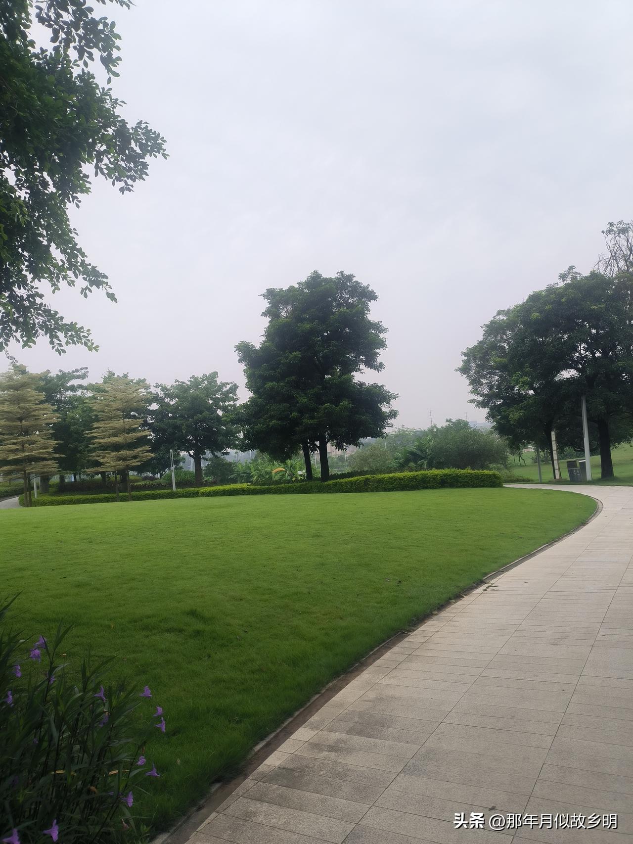 近日，我一位广州的朋友很是生气，因为他妈妈吃亏的生气。

是这样的，我这位朋友3