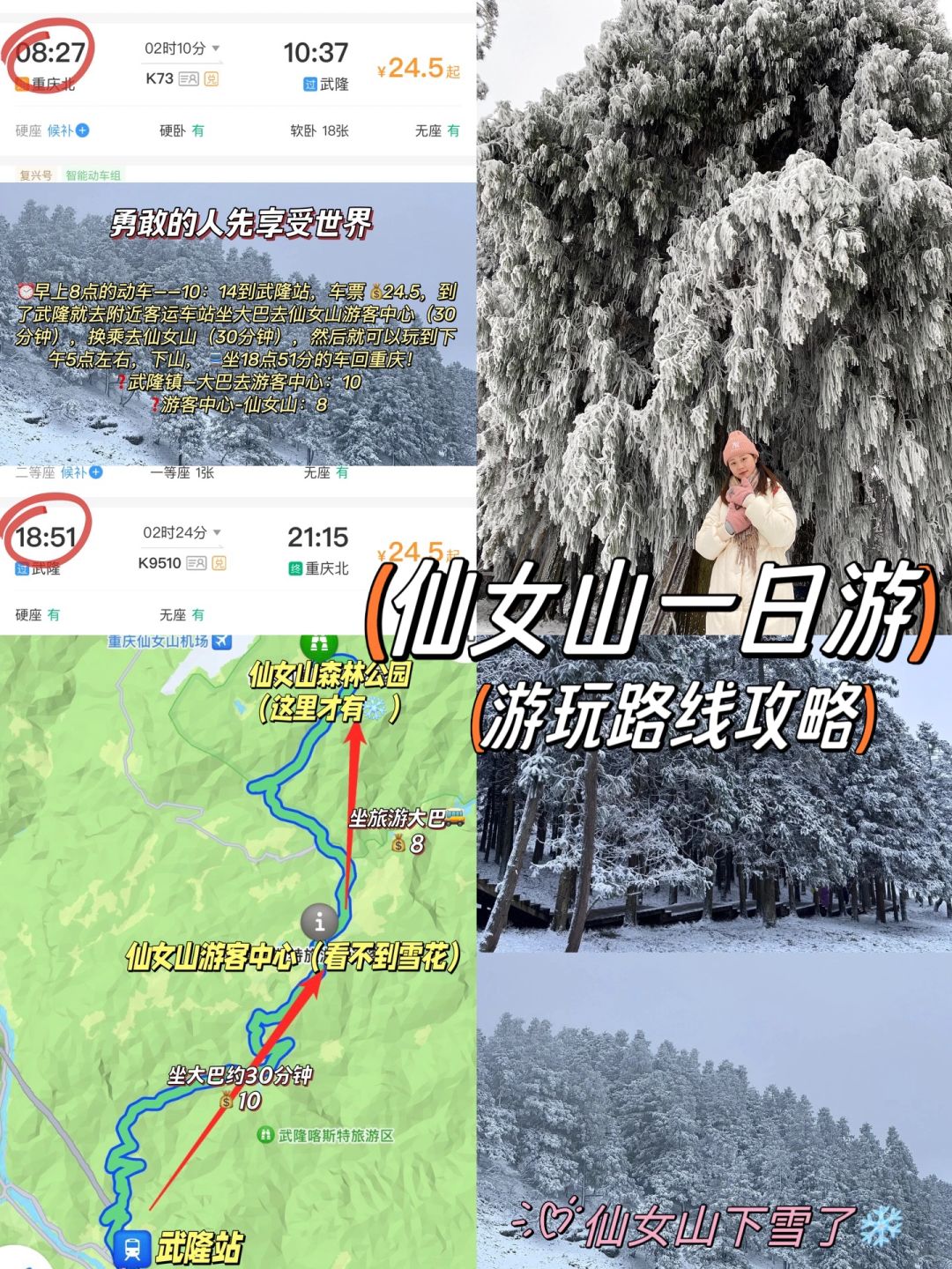 仙女山下雪了❄️勇敢的人先去享受世界了！