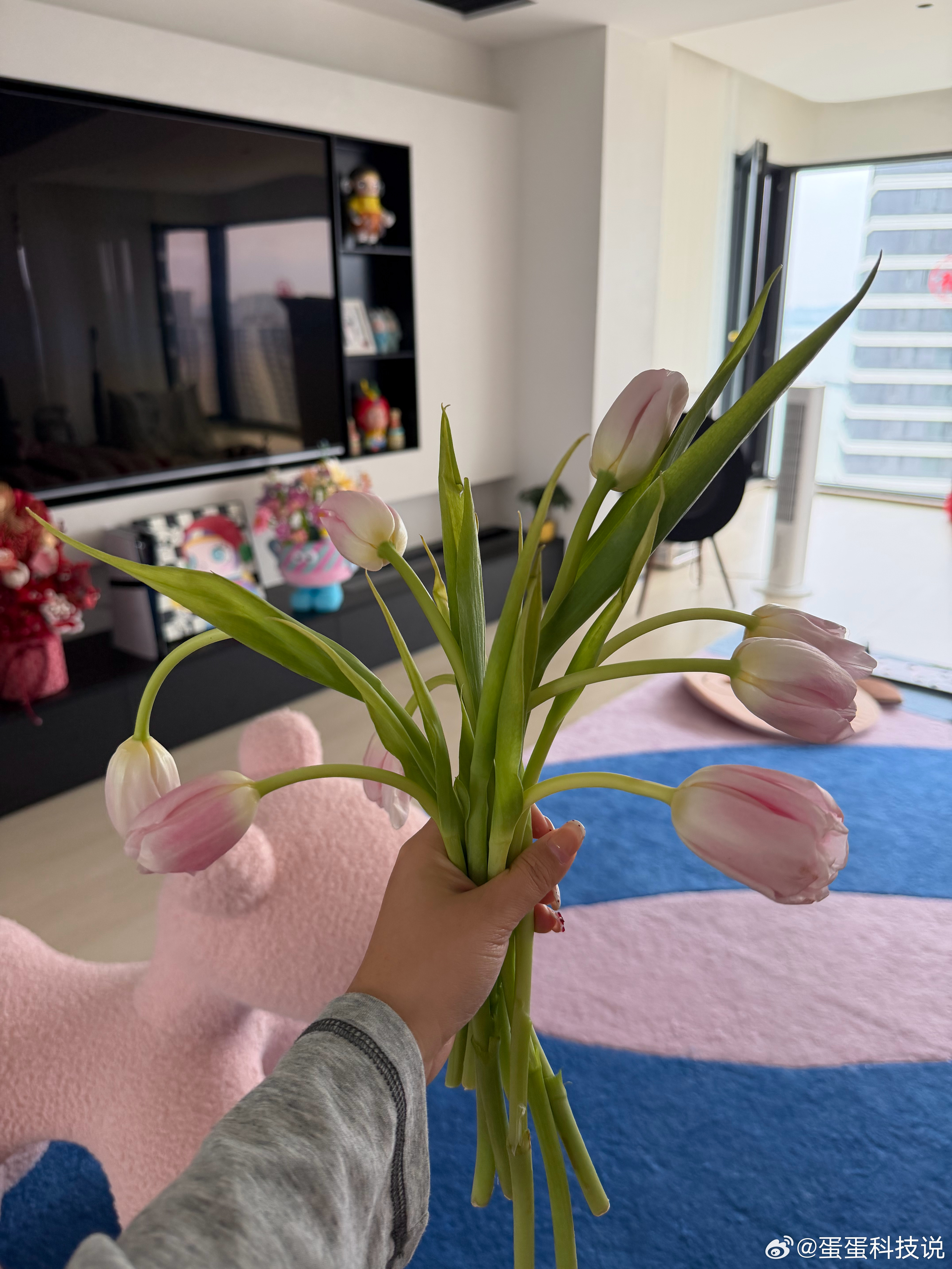 生活手记 竟然被我养活了，太神啦！ 