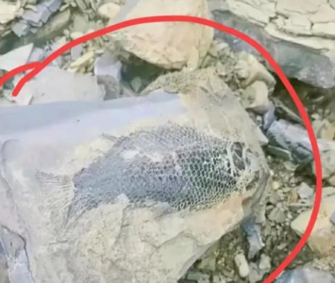 山东，一男子家老宅拆掉重建，不料，在废旧的石头堆里，竟然有一块十分特别的石头，引